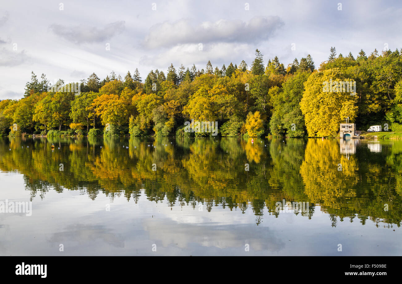 Crockerton, Wiltshire, UK. 25th Oct, 2015. A glorious day of autumn sunshine highlights the changing colours of the trees alongside the waters edge. Shearwater lake is hidden within Longleat Forest and is part of the safari park estate. It is popular with visitors who enjoy walking the tree lined lanes, fishing and boating on the lake. Credit:  Wayne Farrell/Alamy Live News Stock Photo