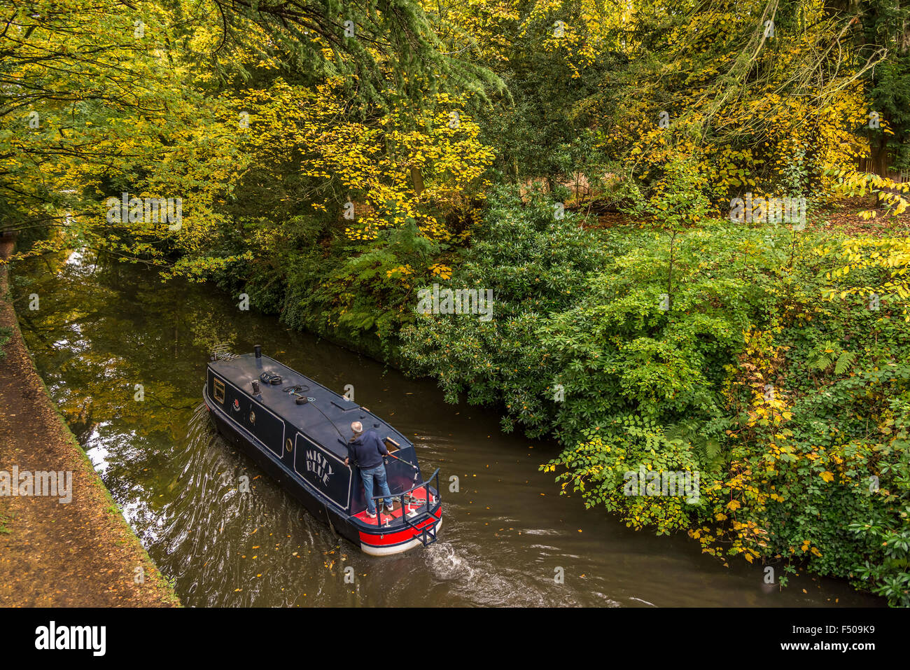 The Bridgewater canal at Walton near Warrington. Cheshire. North West England. Autumn gold leaves. Stock Photo