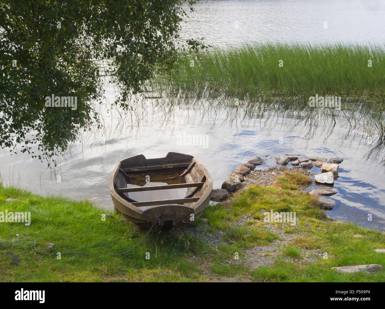 Old wooden rowing boat on the shore of small Norwegian lake, weathered, worn, waterlogged and in need of repair Stock Photo