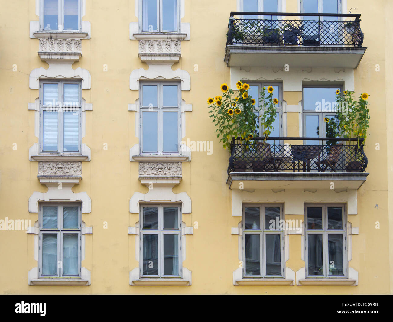 Old apartment building in central Oslo Norway,  facade with windows balconies and tall sunflowers Stock Photo