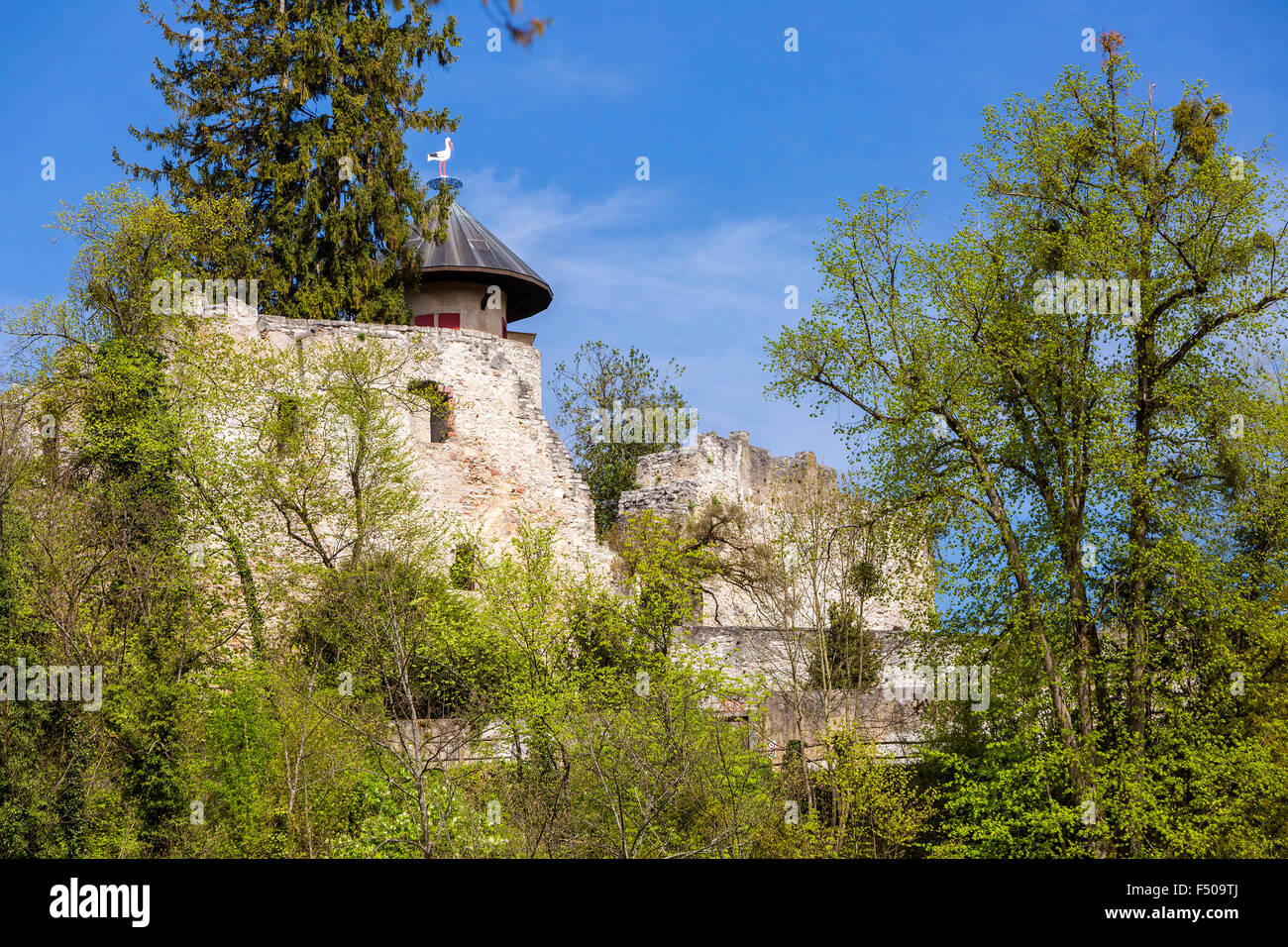 Birseck Castle (Burg Birseck), Arlesheim, Canton Basel-Landschaft, Switzerland Stock Photo