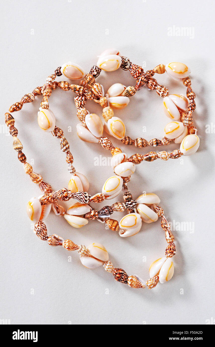 Jewelry made shop from conch shells