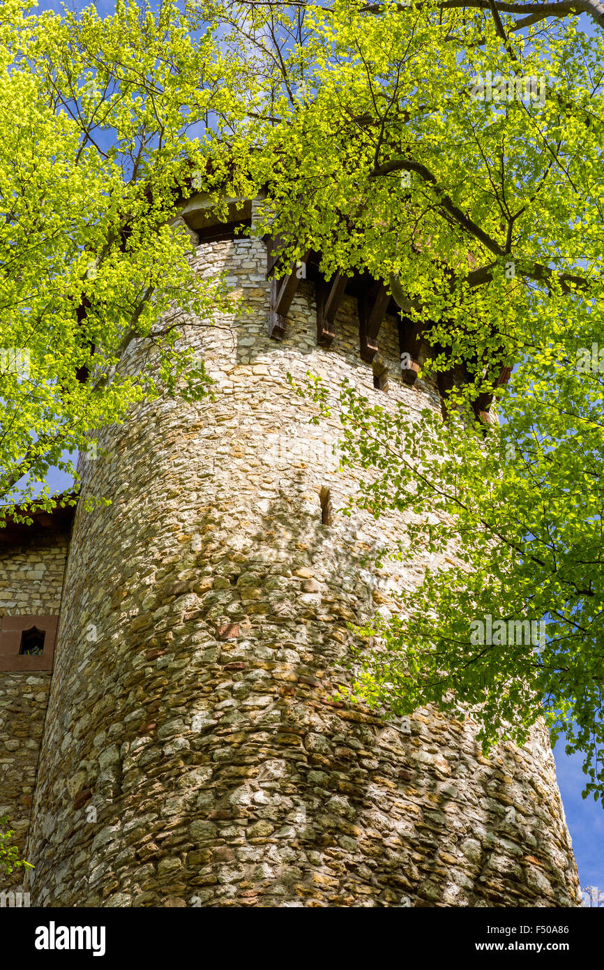 Reichenstein Castle (Burg Reichenstein), Arlesheim, Canton Basel