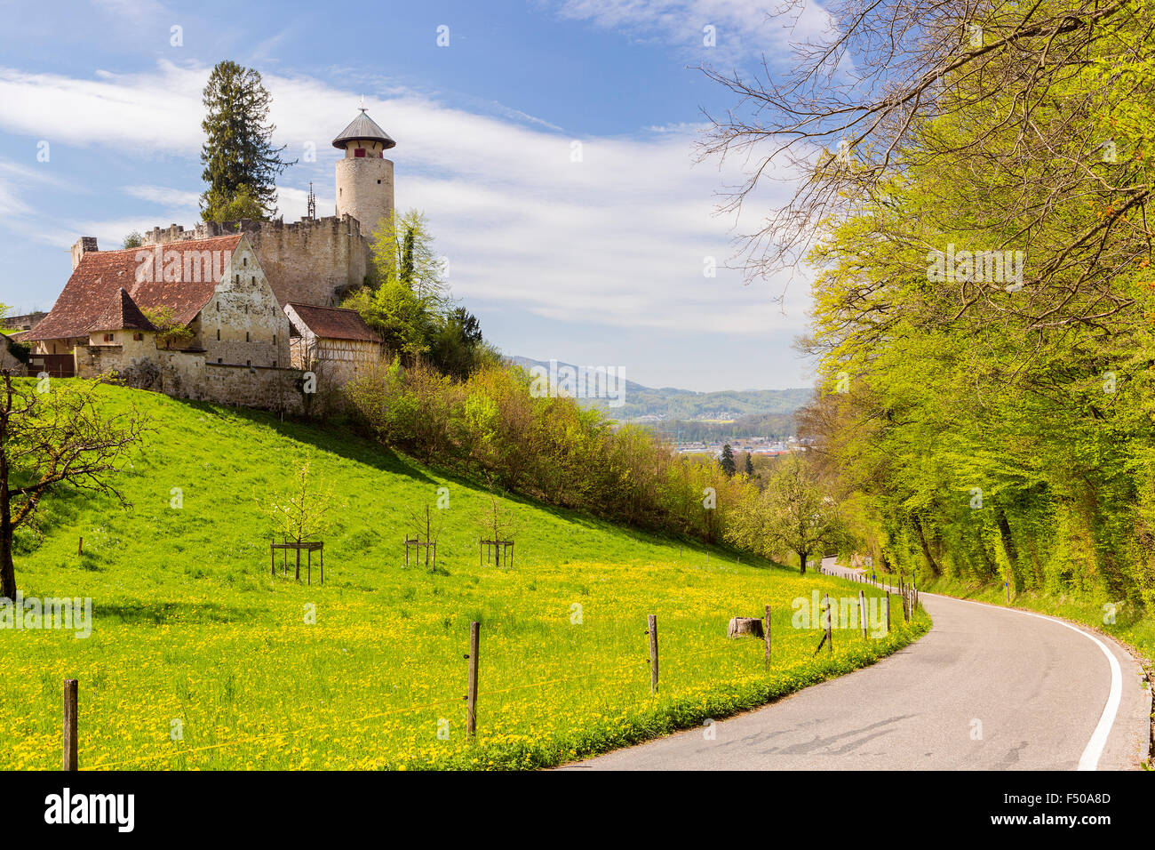 Birseck Castle (Burg Birseck), Arlesheim, Canton BaselLandschaft, Switzerland Stock Photo Alamy