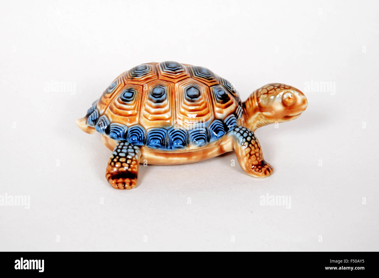 Tortoise figure 2025