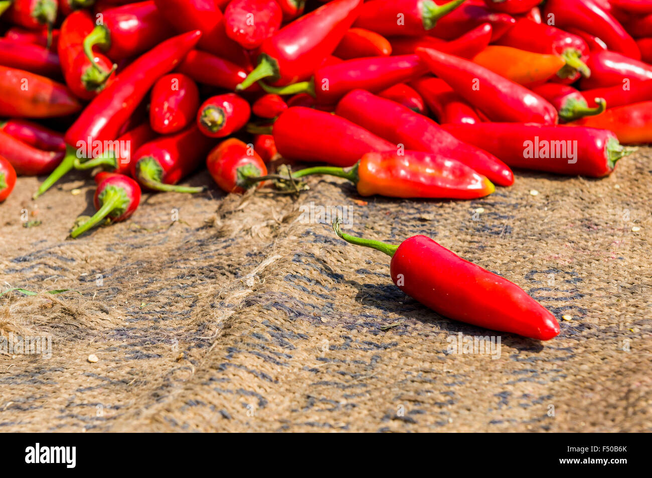 Indian Market Of Red Chillies High Resolution Stock Photography and ...