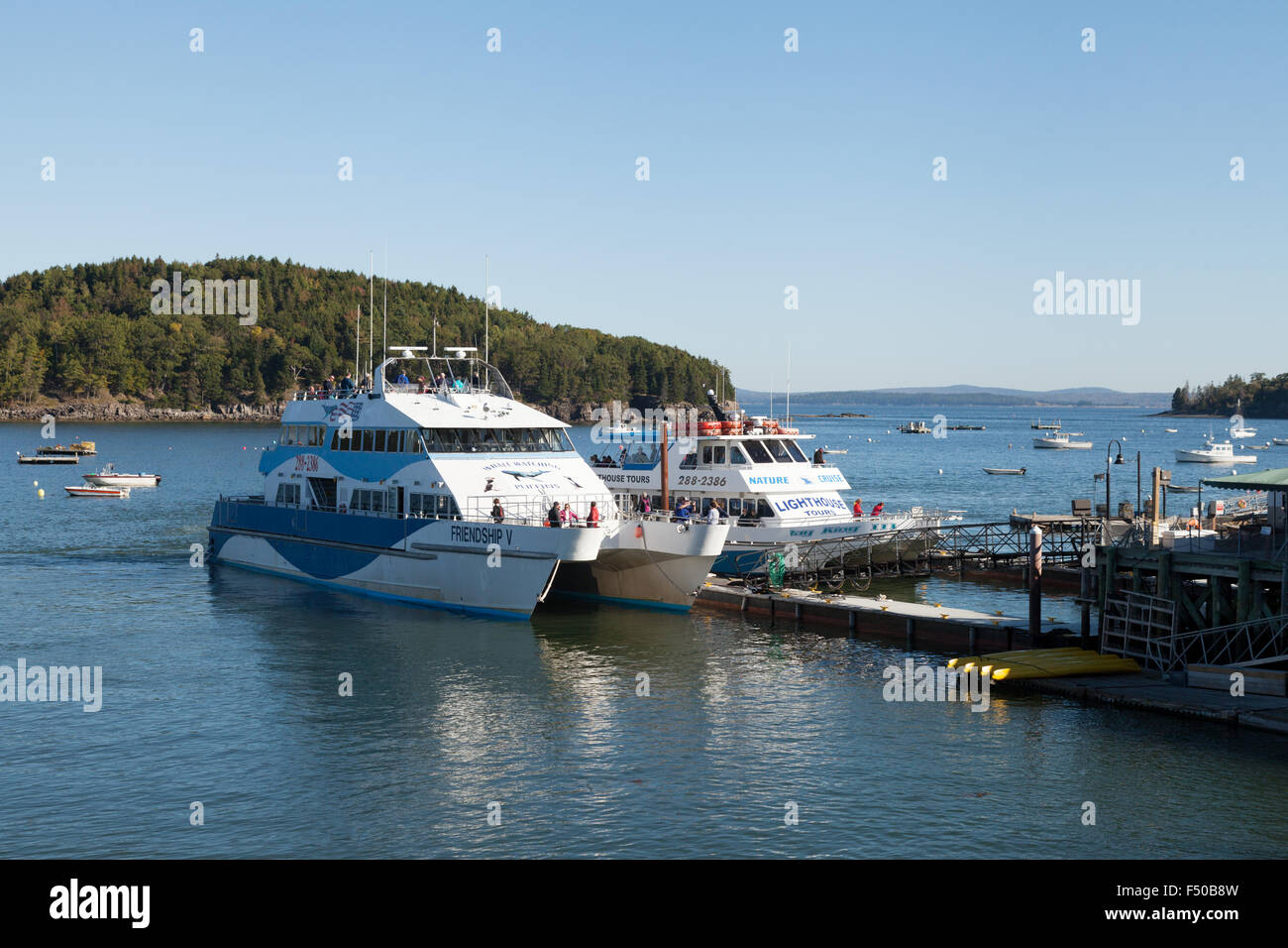 Tourist boats at the jetty, Bar Harbor, Mount Desert Island, Acadia