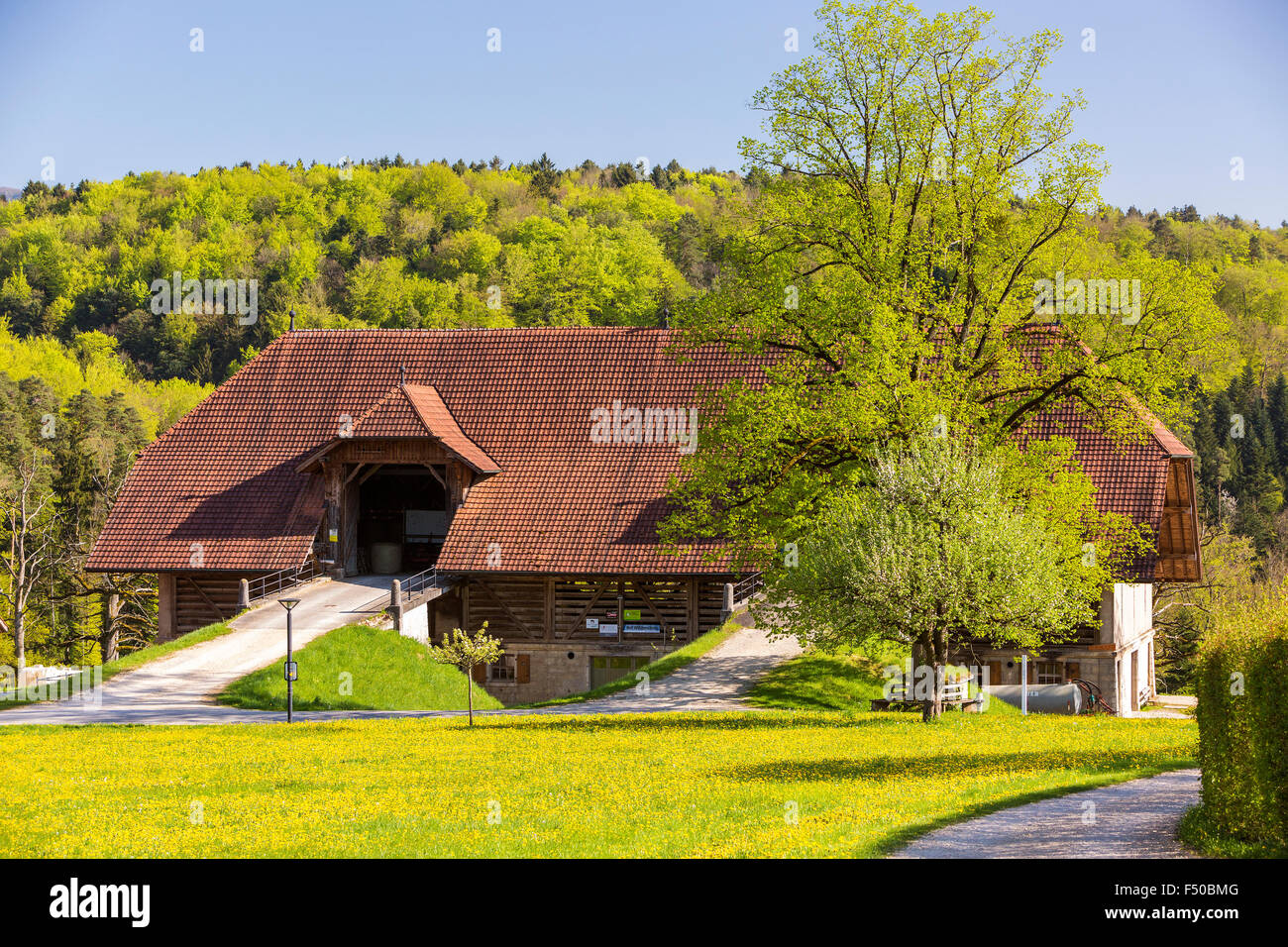 Landscape near Lampenberg, Canton Basel-Landschaft, Switzerland Stock Photo