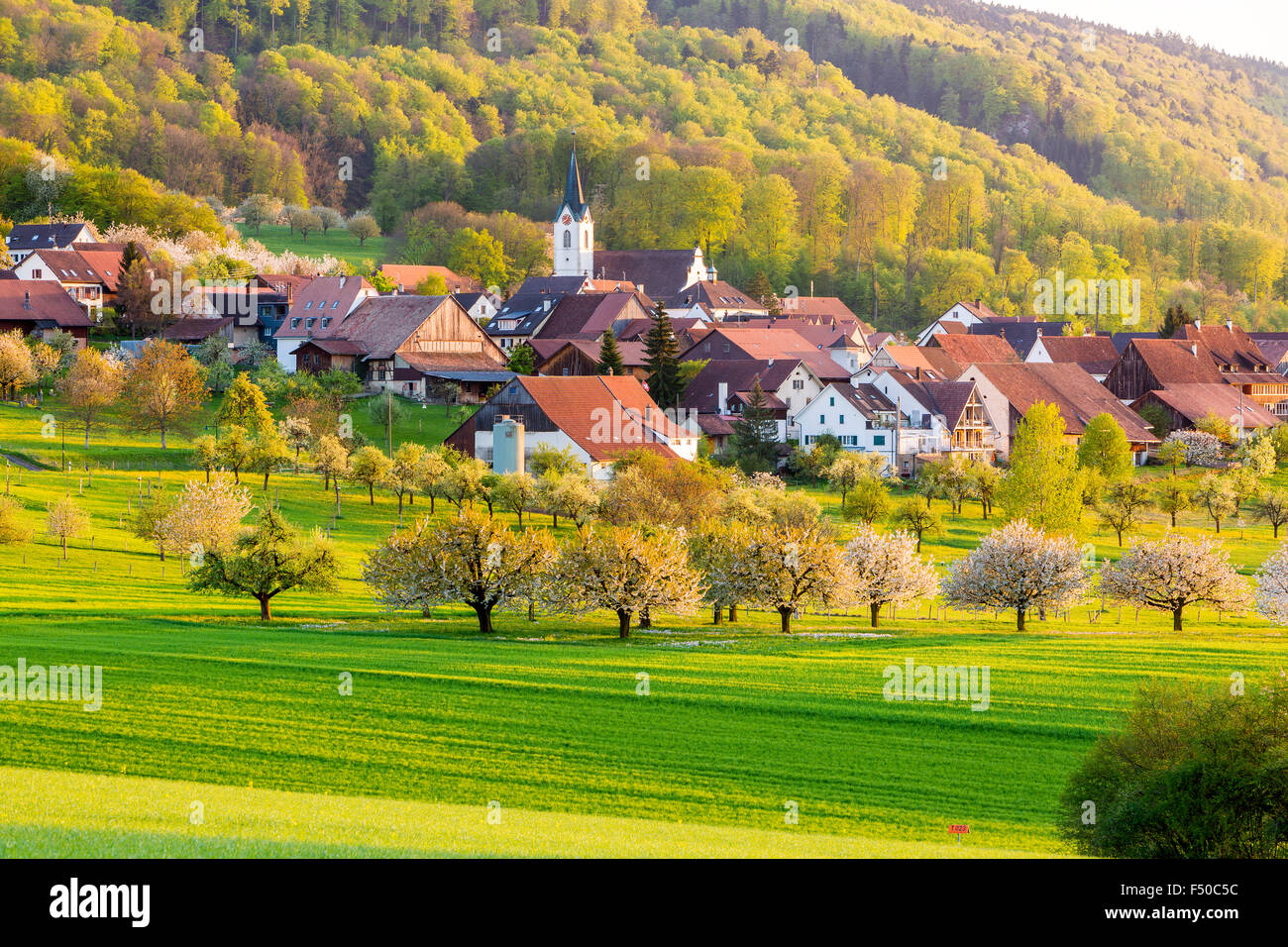 Spring landscape at Metzerlen-Mariastein, Canton Solothurn, Switzerland. Stock Photo