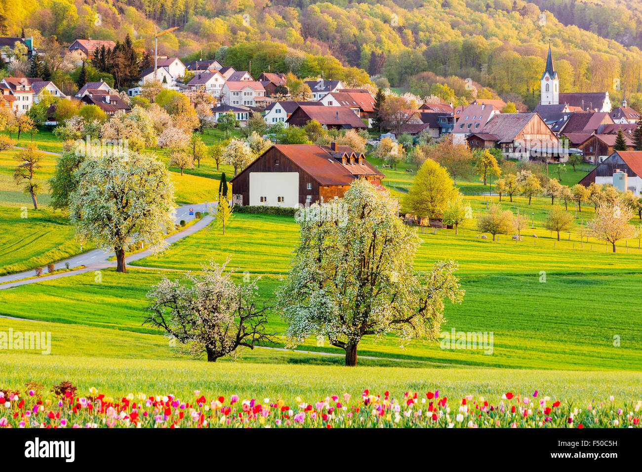 Spring landscape at Metzerlen-Mariastein, Canton Solothurn, Switzerland. Stock Photo