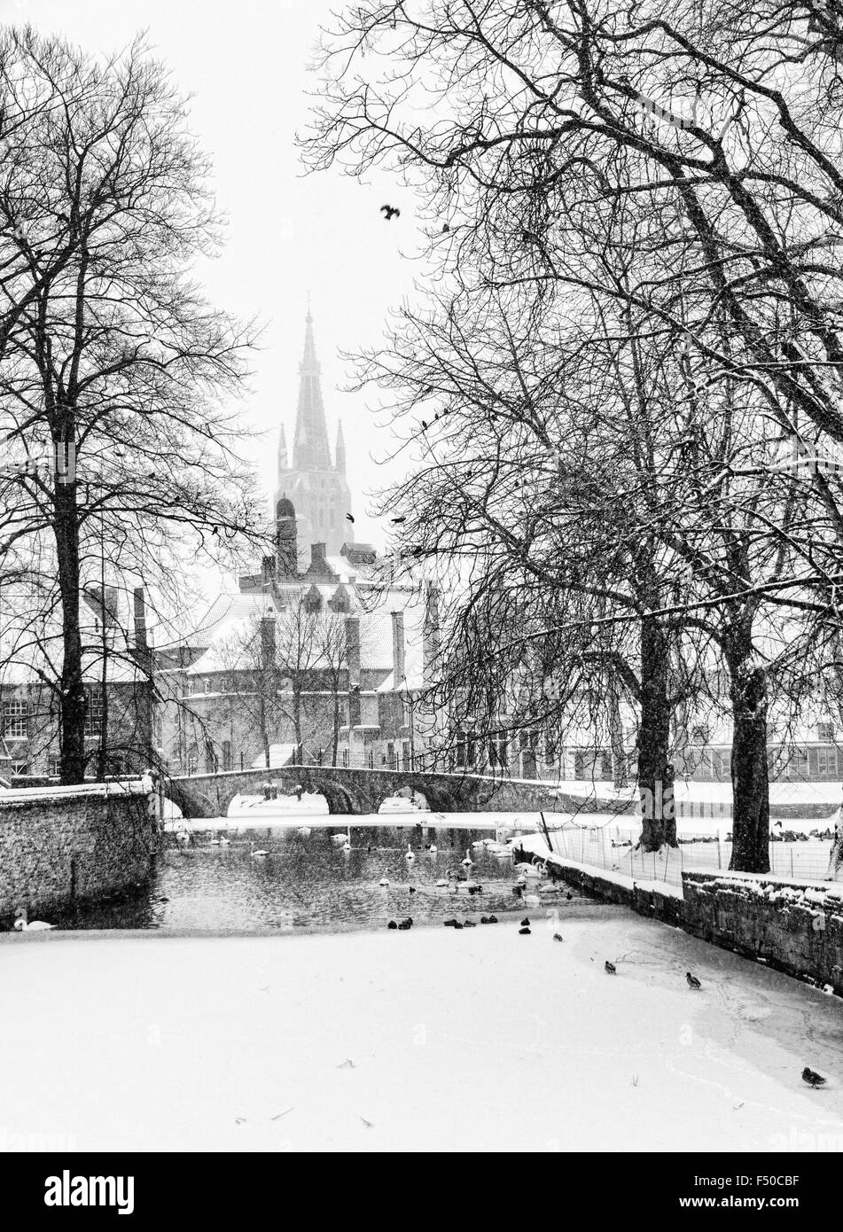 White Bruges Stock Photo