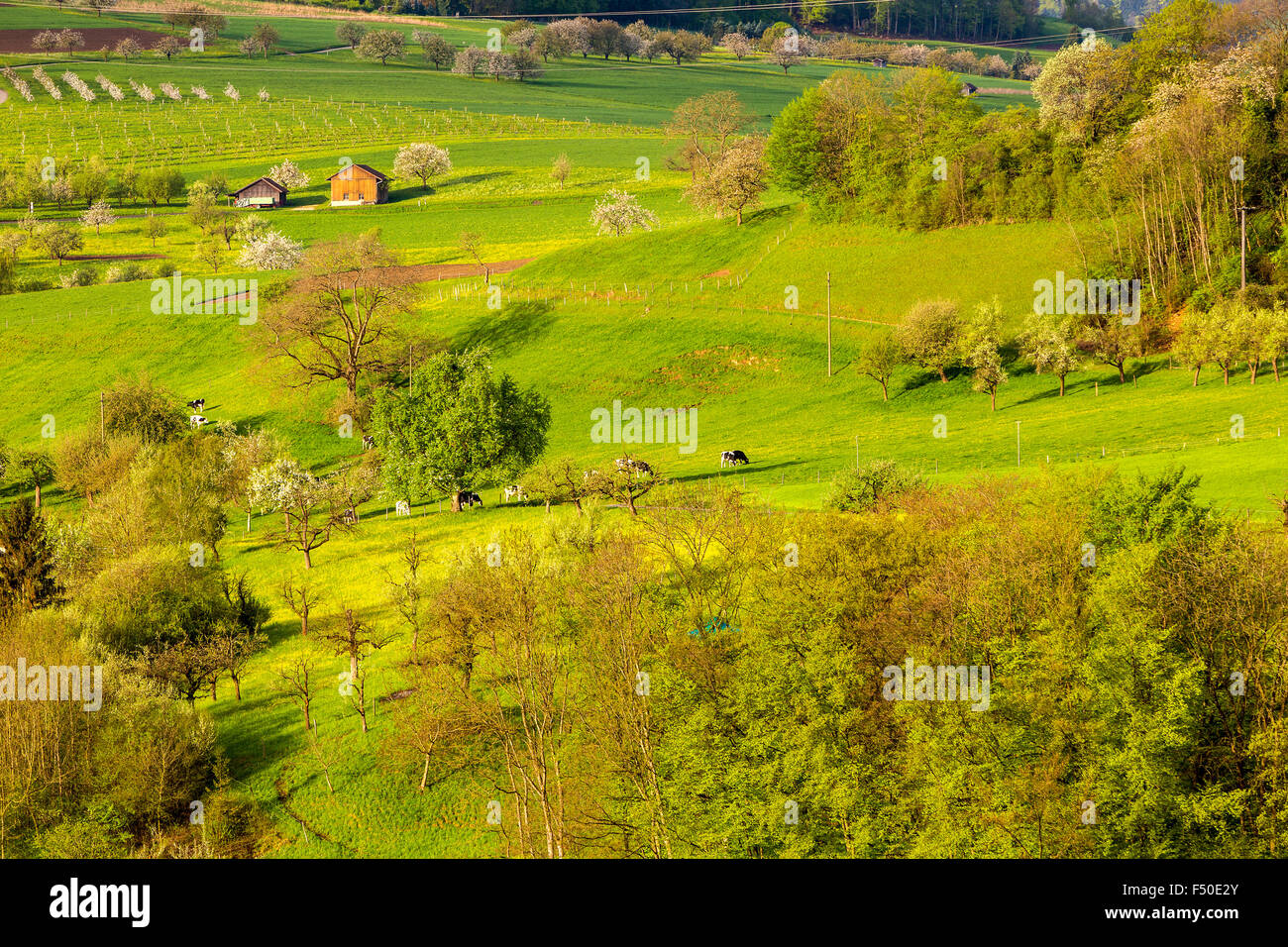 Oltingen, Canton BaselLandschaft, Switzerland Stock Photo Alamy