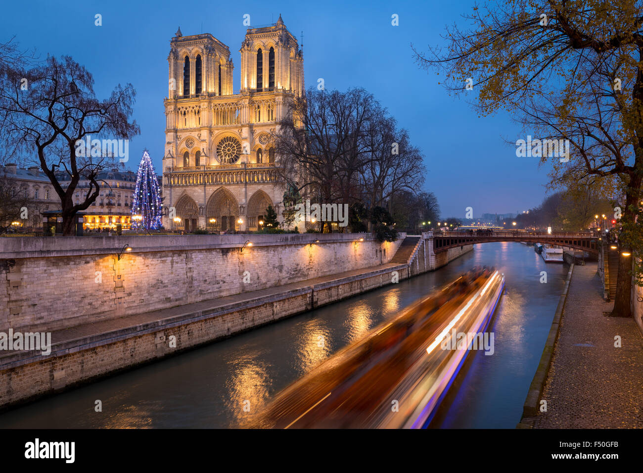 Notre Dame de Paris Cathedral and Christmas Tree Illumination in evening with the Seine River, Ile de la Cite, Paris, France Stock Photo