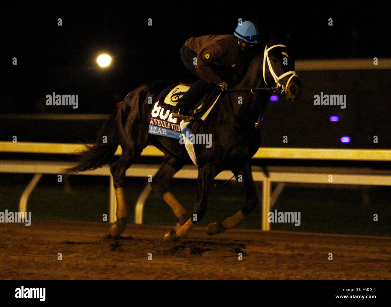 Lexington, KY, USA. 25th Oct, 2015. October 25, 2015: Azar, trained by Todd Pletcher and owned by Alto Racing, is entered in the Breeder's Cup Juvenile Turf. Credit:  Cal Sport Media/Alamy Live News Stock Photo