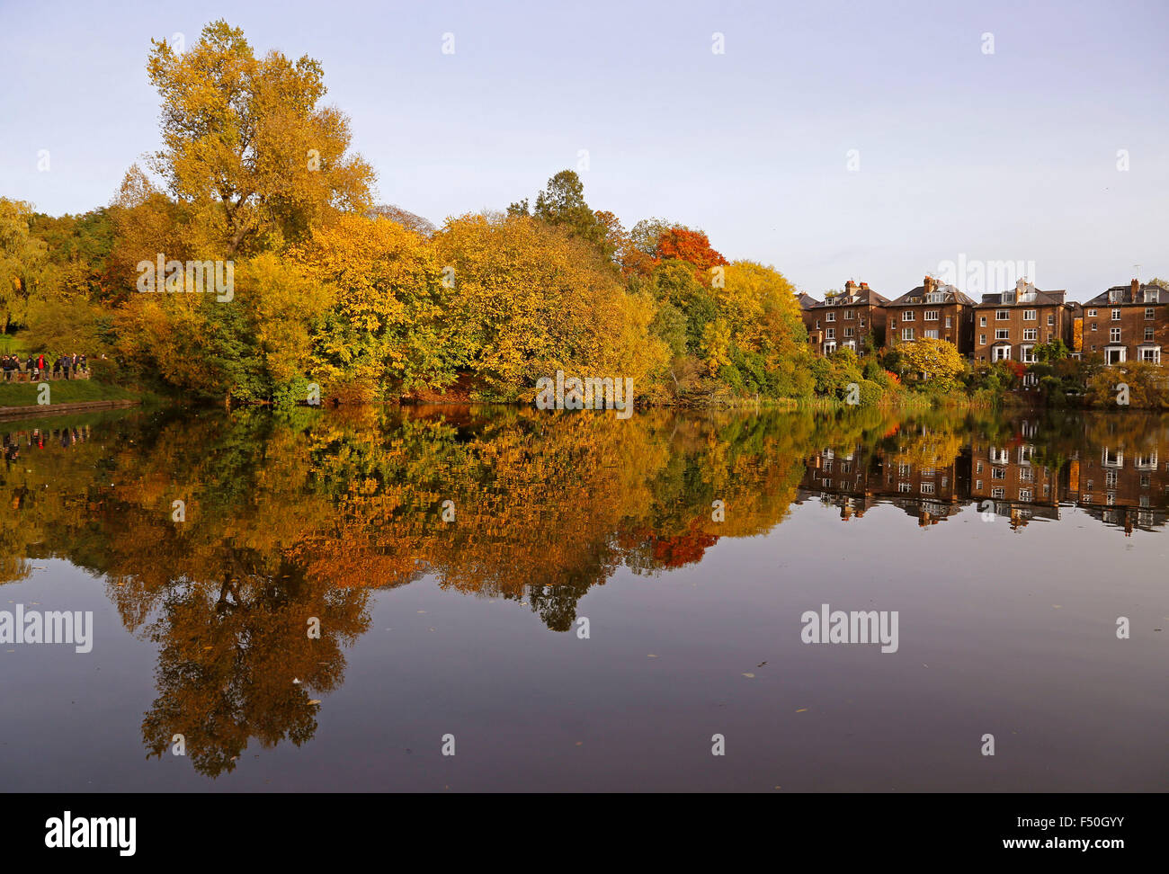 Hampstead Heath, London, UK. 25th October, 2015. Weather: Autumn colours on Hampstead Heath in London on Sunday 25 October 2015 Credit:  Glyn Thomas Photography/Alamy Live News Stock Photo