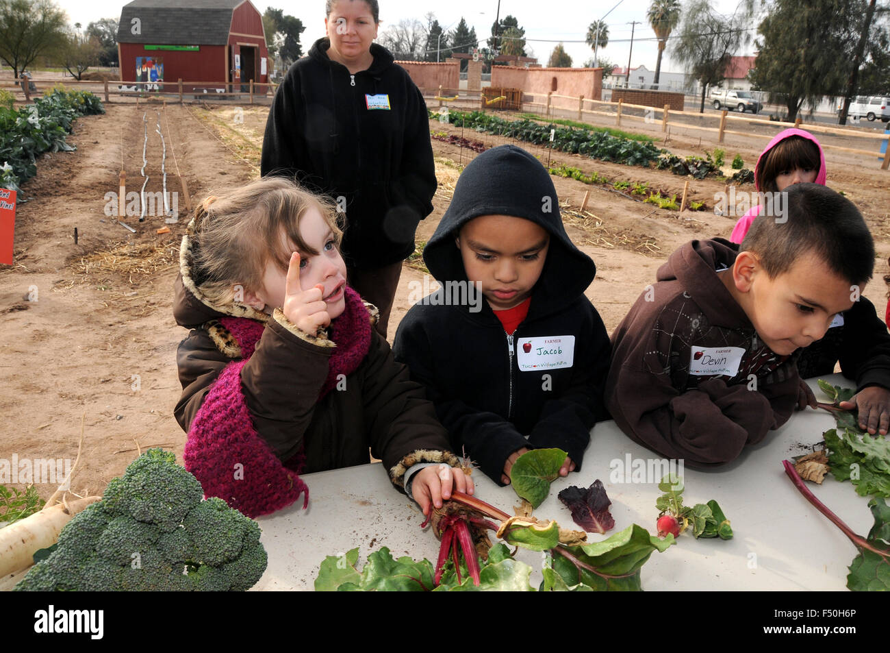 Students learn about farming at Tucson Village Farm, Tucson, Arizona, USA. Stock Photo