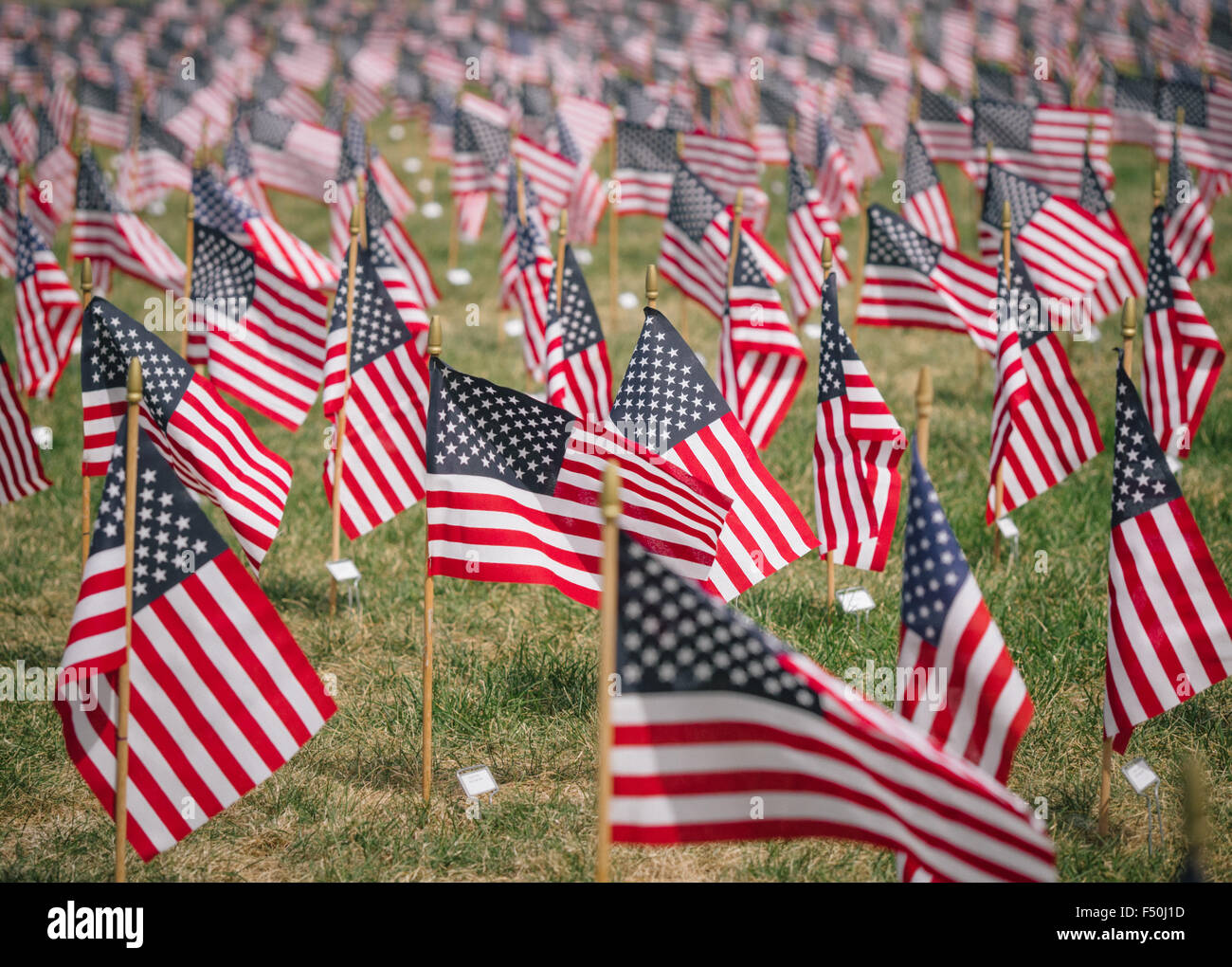 Thousands of American flags on a lawn to remember 9/11 and the soldiers and veterans of the US War on Terror Stock Photo