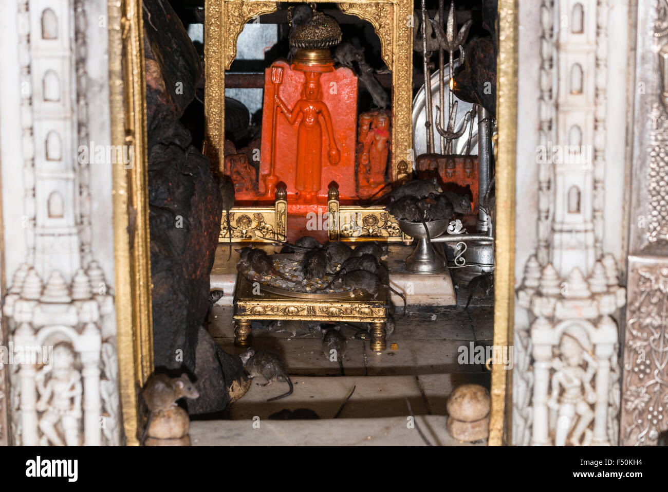 The holy sanctuary of Karni Mata Temple, a famous Hindu temple dedicated to Karni  Mata. It is also known as the Temple of Rats Stock Photo - Alamy