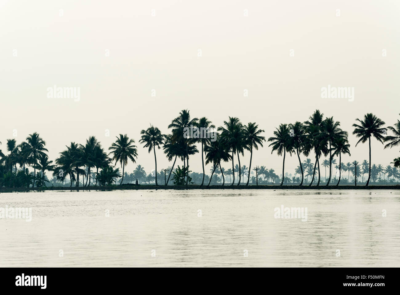 A typical landscape with water canal and palmtrees on small peninsulas in Keralas backwaters Stock Photo