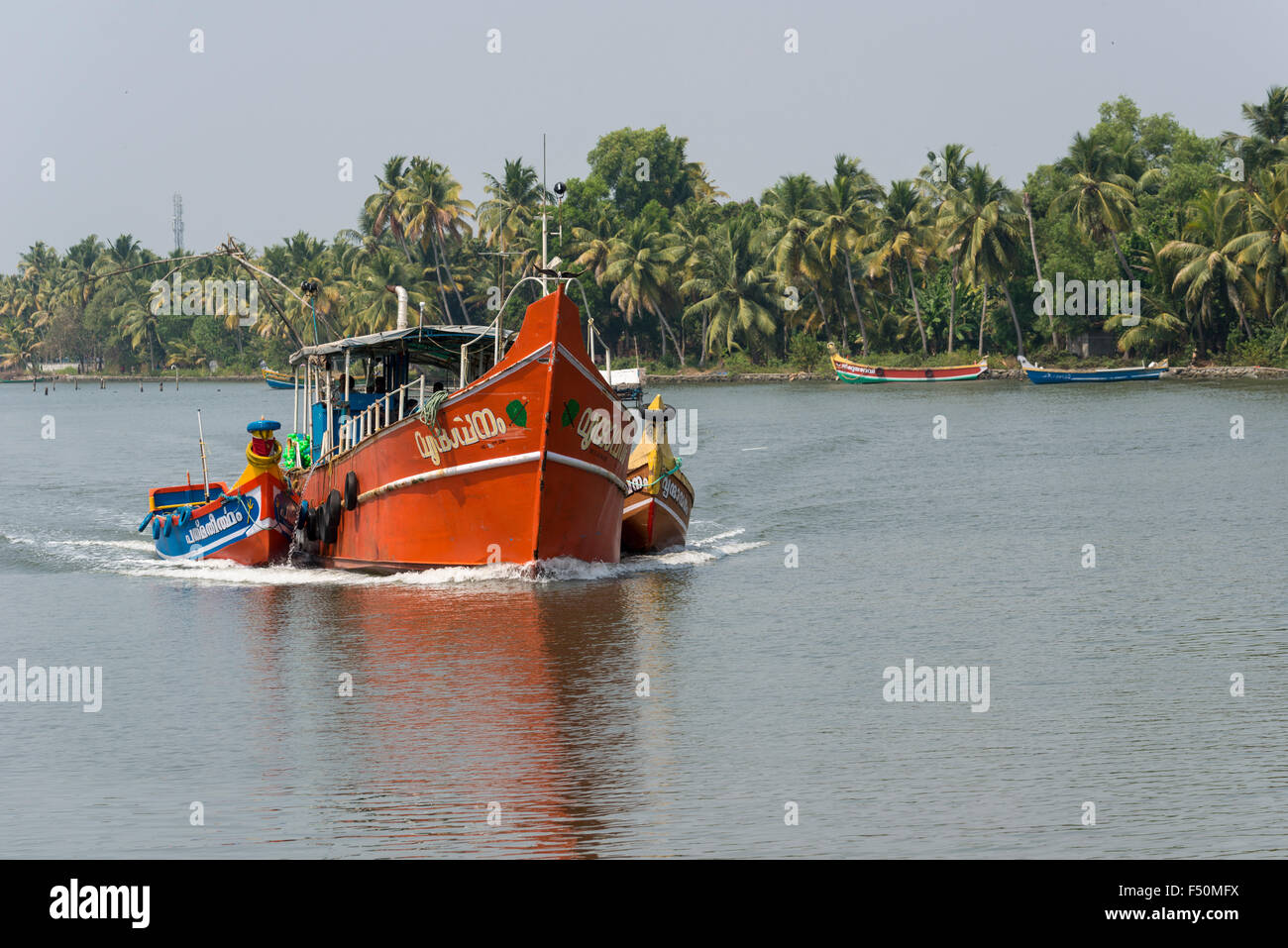 An orange fishing boat is cruising through the typical landscape with water canal and palmtrees in Keralas backwaters Stock Photo