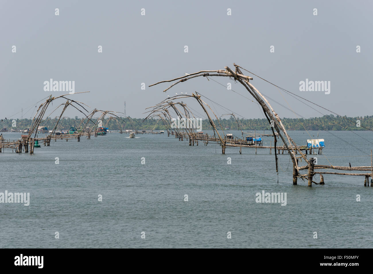 https://c8.alamy.com/comp/F50MFY/a-long-line-of-chinese-fishing-nets-is-set-up-along-a-canal-in-keralas-F50MFY.jpg
