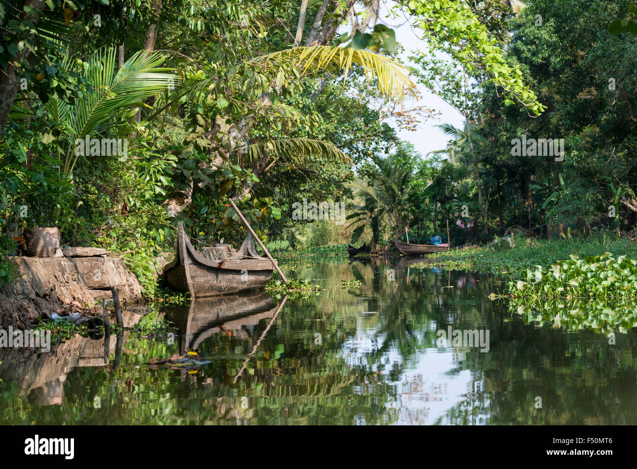 A typical landscape with water canal, palmtrees and a small wooden boat in Keralas backwaters Stock Photo