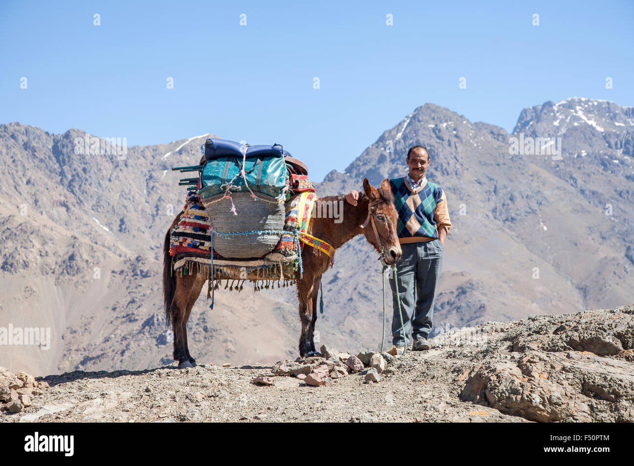 Local Berber muleteer posing with his heavily laden mule, Toubkal National Park, High Atlas Mountains, Morocco, northern Africa Stock Photo