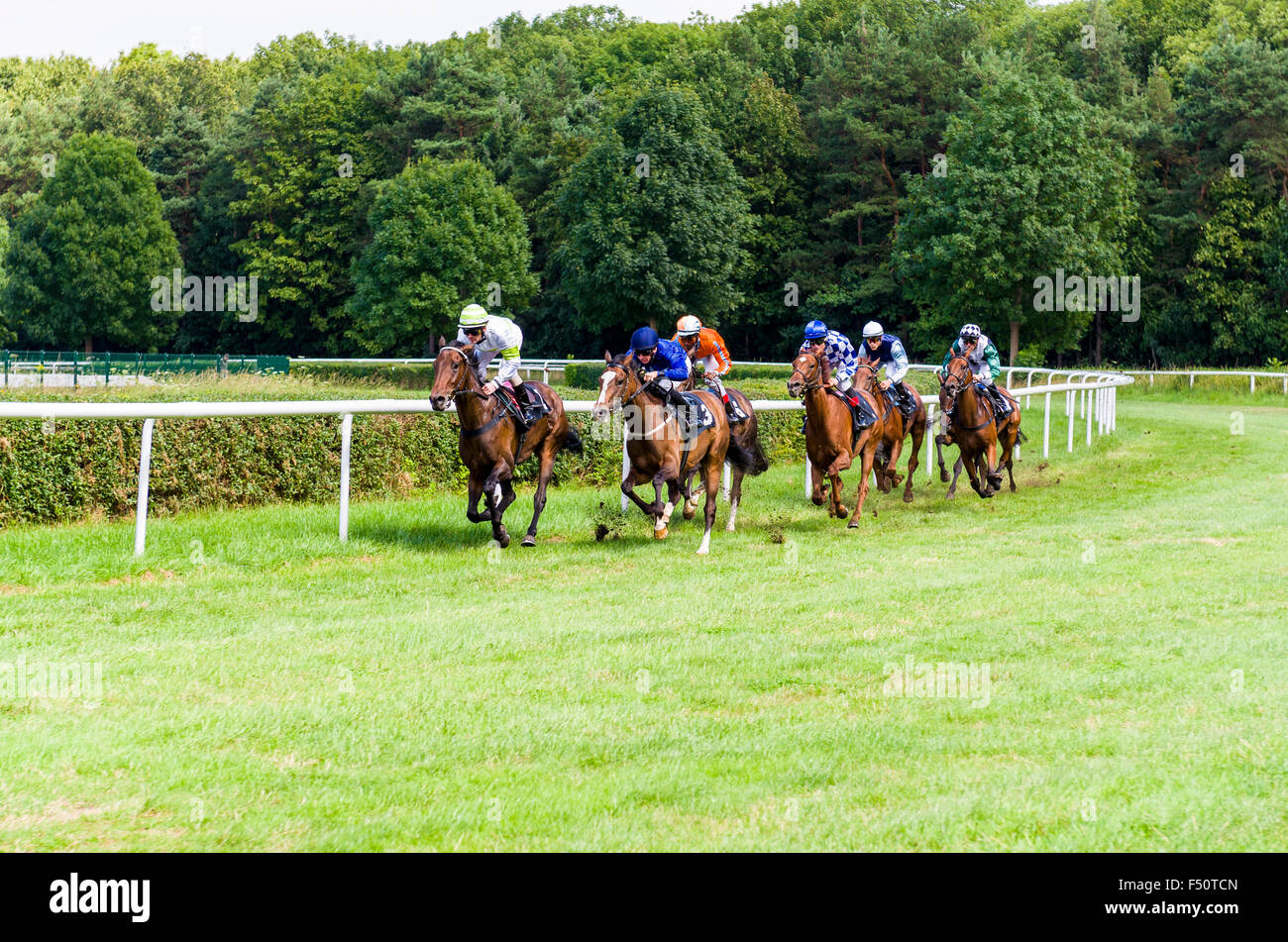 Jockey