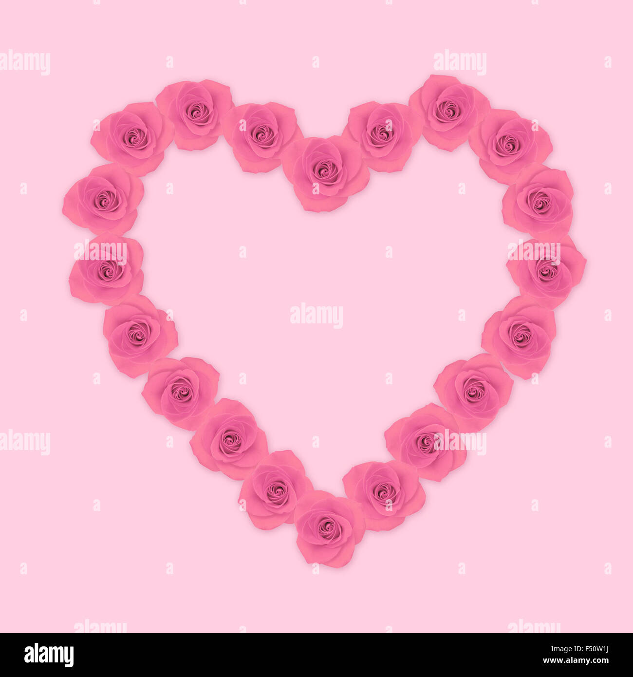 Heart shape pink rose flowers Stock Photo