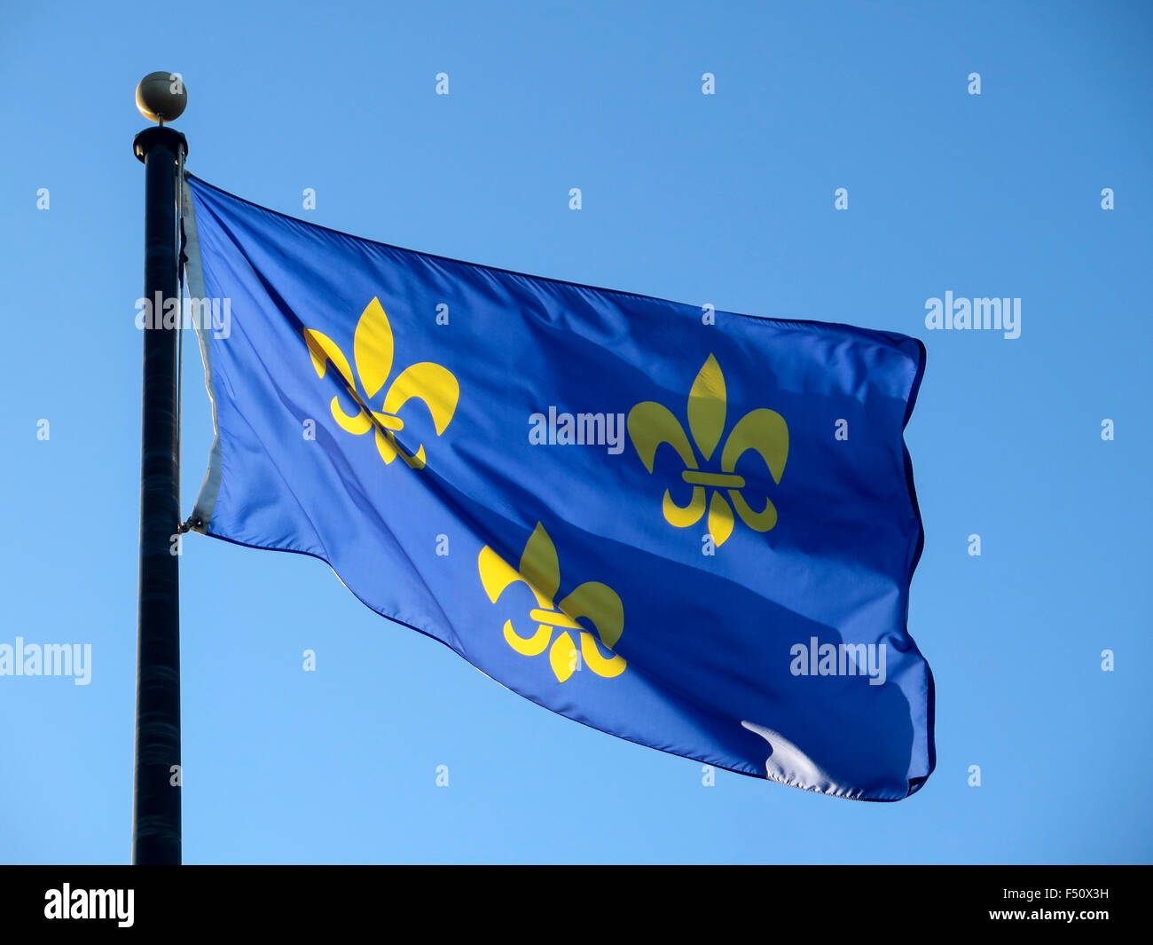 Fleur-de-lis flag in Baton Rouge, Louisiana, USA Stock Photo
