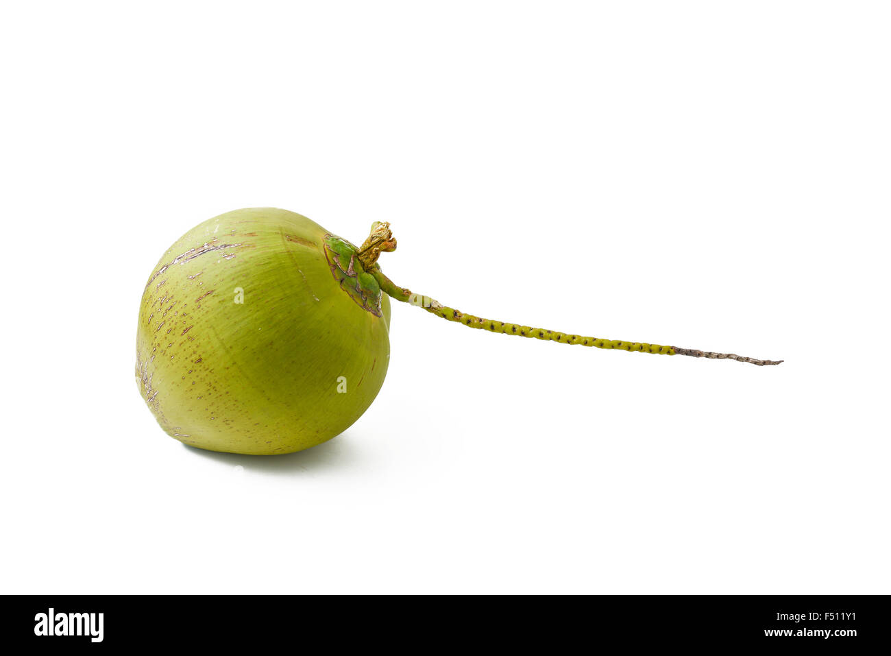 coconut fruit on white background Stock Photo