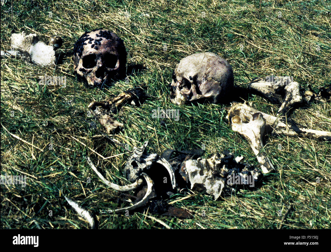 A Tibetan sky burial site in Eastern Tibet. Stock Photo