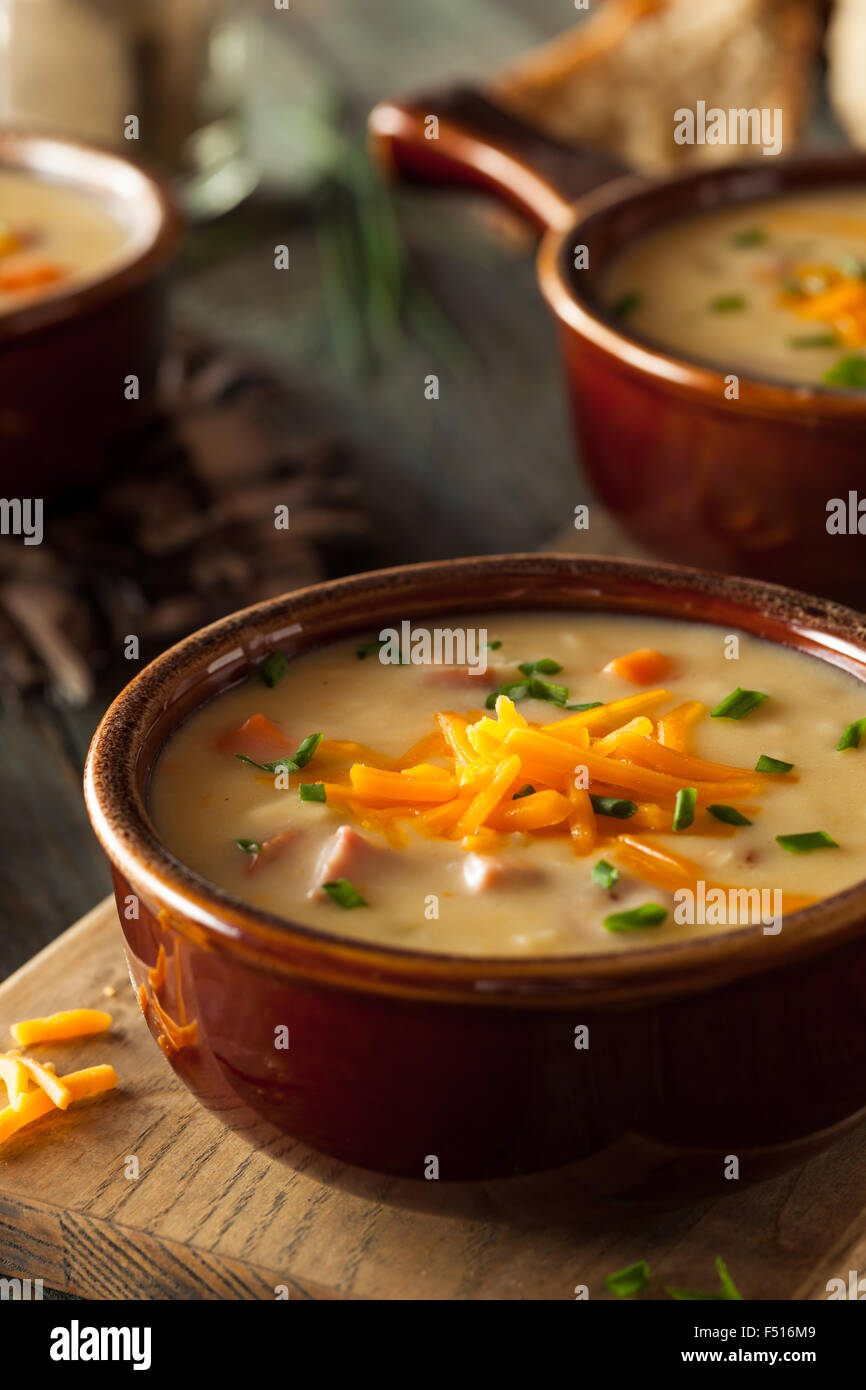 Homemade Beer Cheese Soup with Chives and Bread Stock Photo