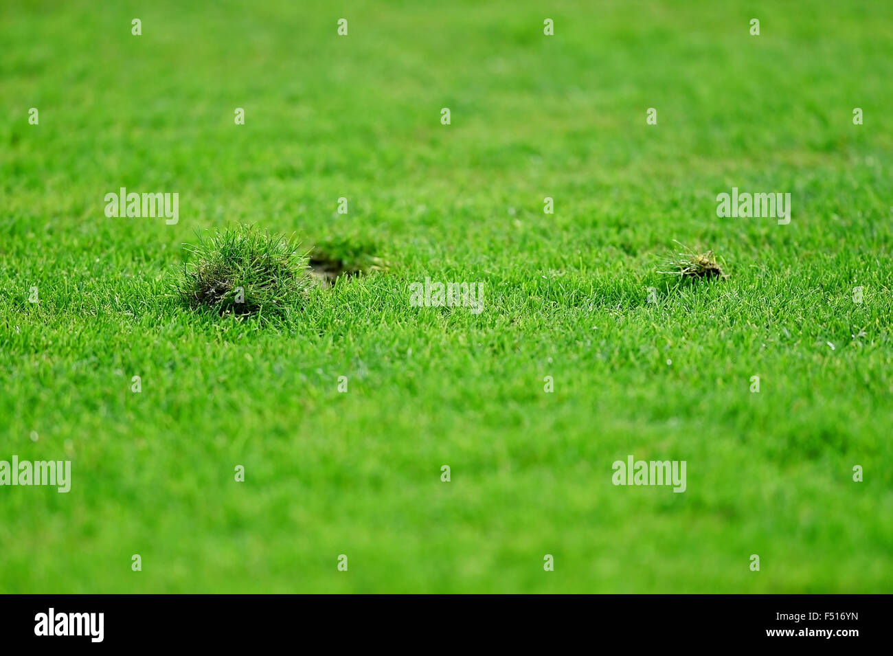 Detail shot with pieces of damaged turf on a soccer field Stock Photo