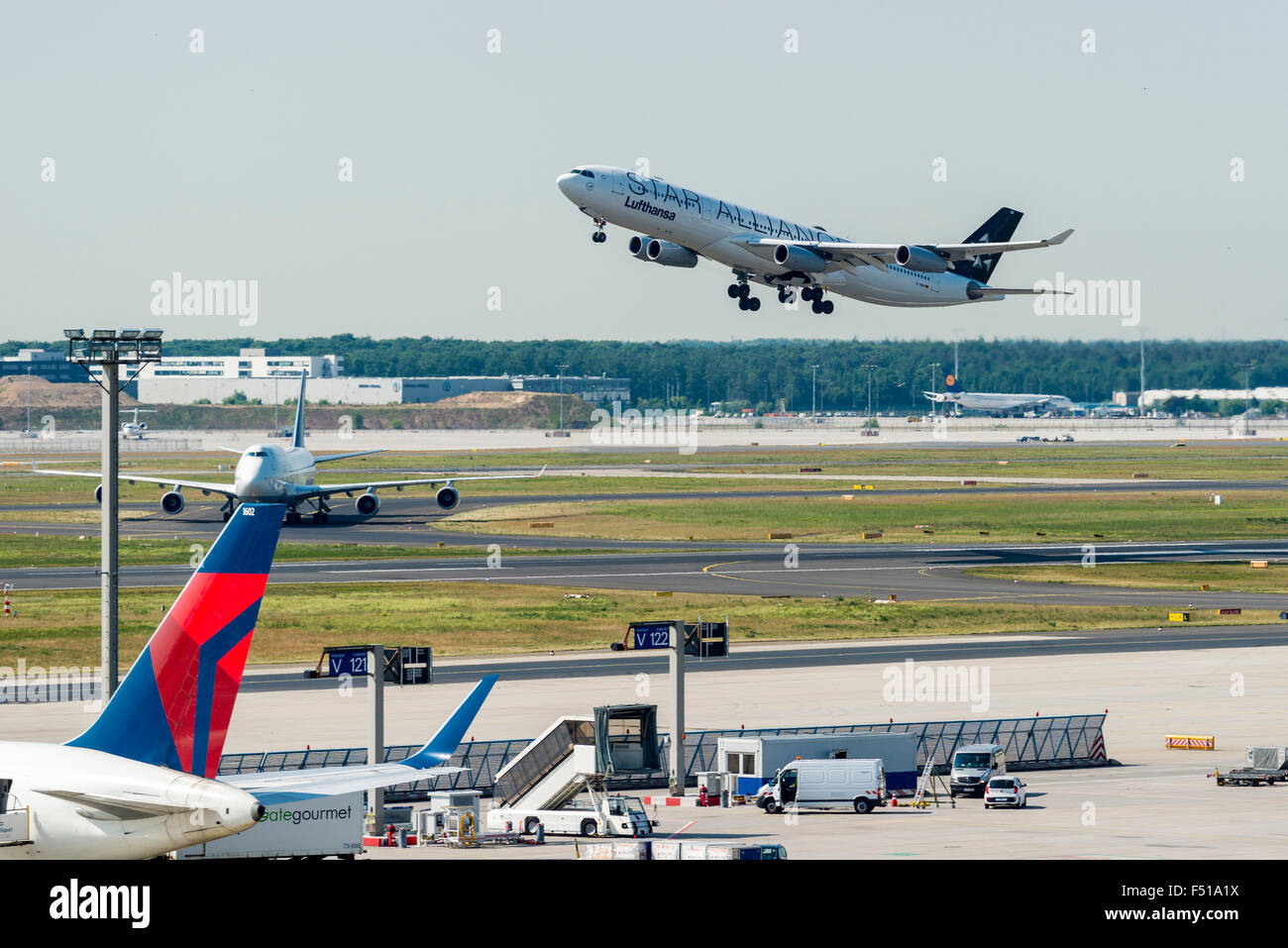 An Airbus A340-300 of the airline Lufthansa is taking off at Frankfurt International Airport Stock Photo