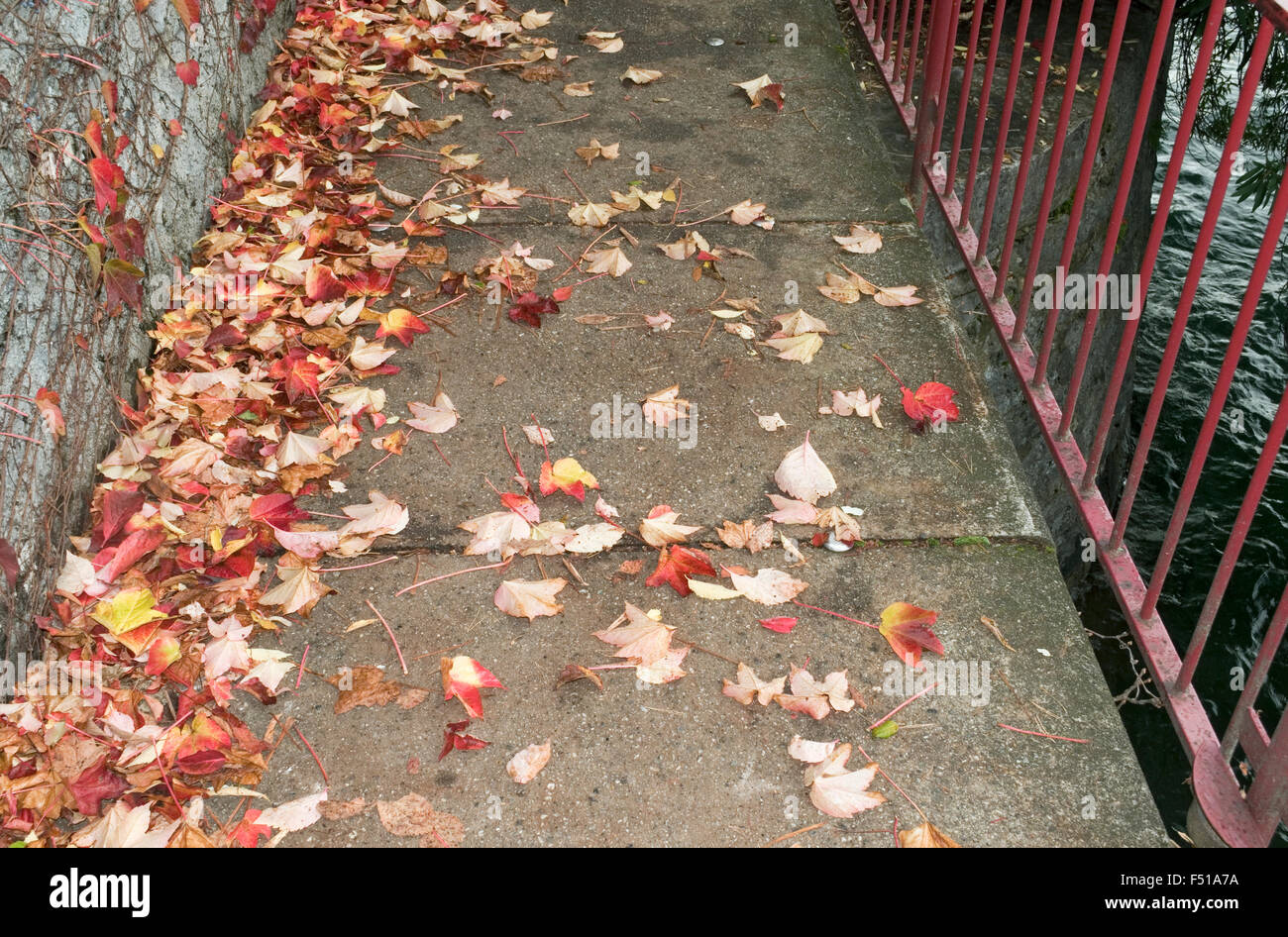 fallen leaves on walkway along the Lake Como Stock Photo