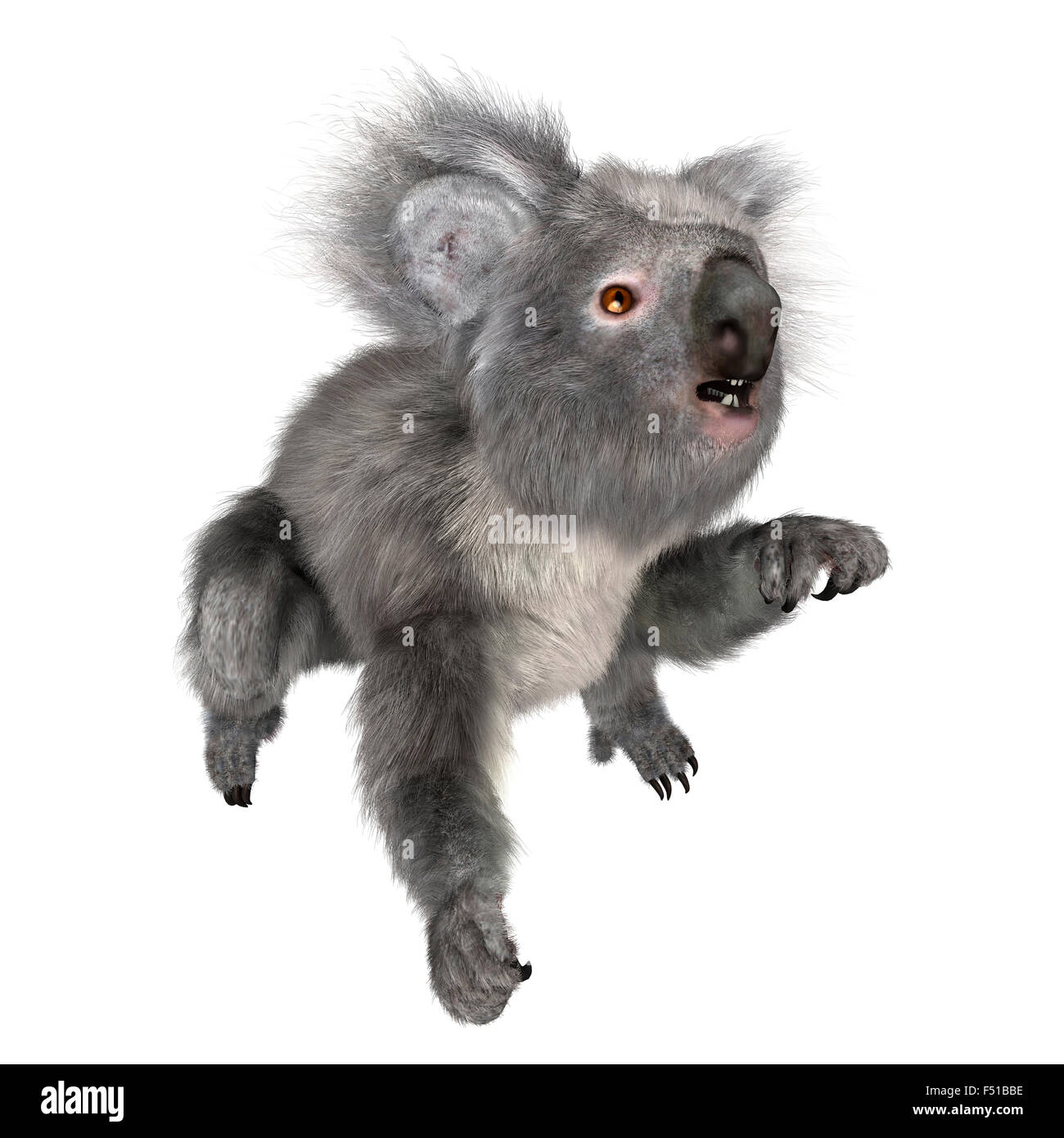3D digital render of a cute Australian koala bear isolated on white ...