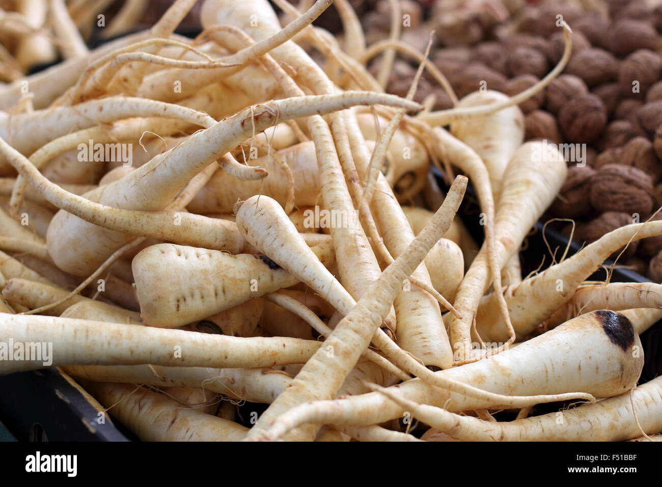 Fresh parsnip being sold at market Stock Photo