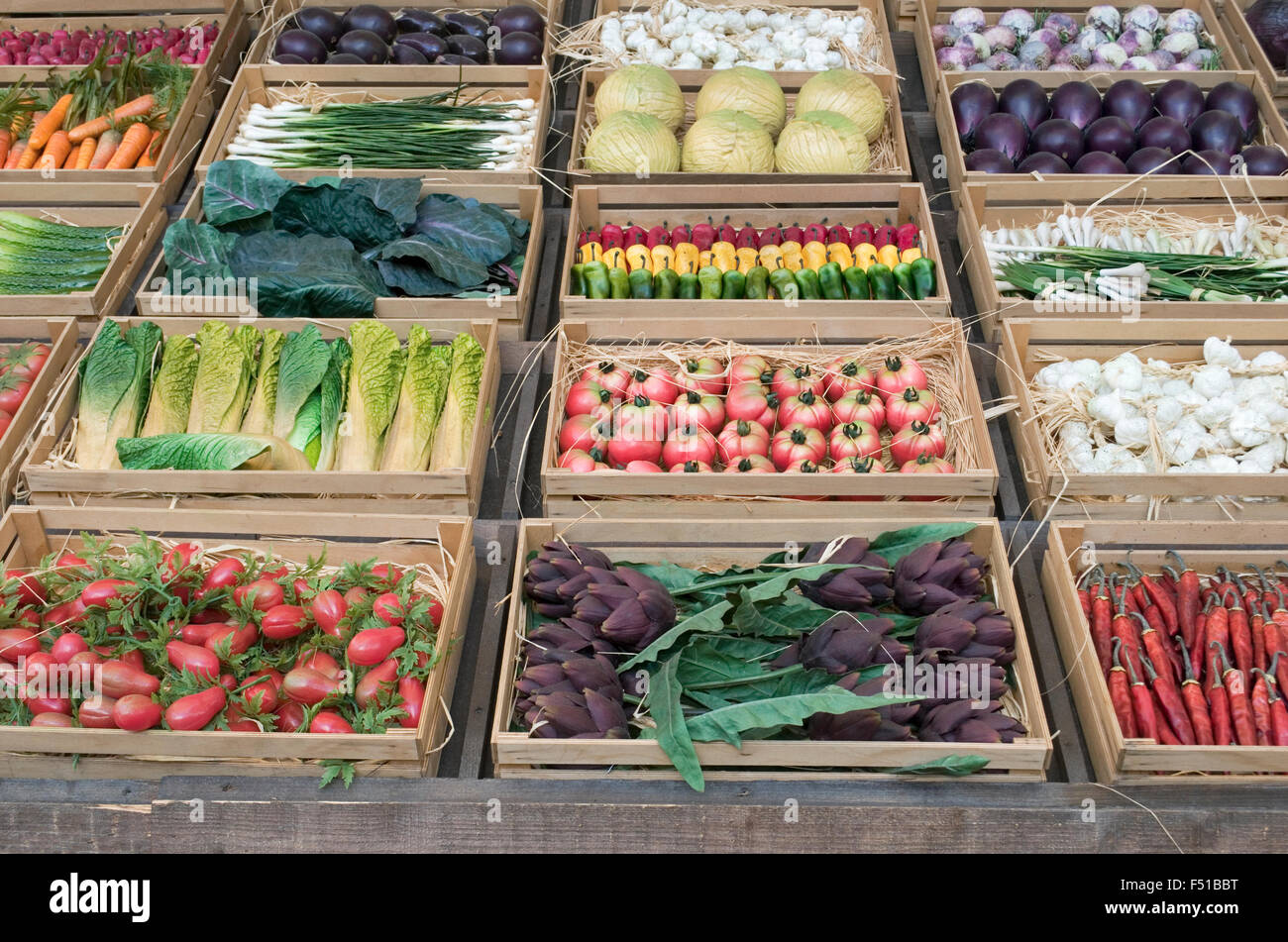 Assortment assorted vegetables wooden crates vegetable hires stock