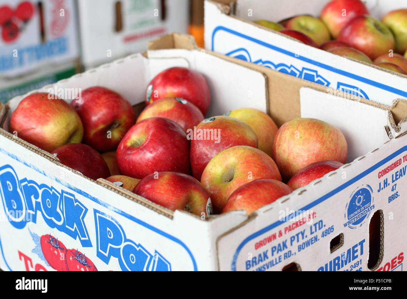 Apples in cardboard box for sale at the market Stock Photo Alamy