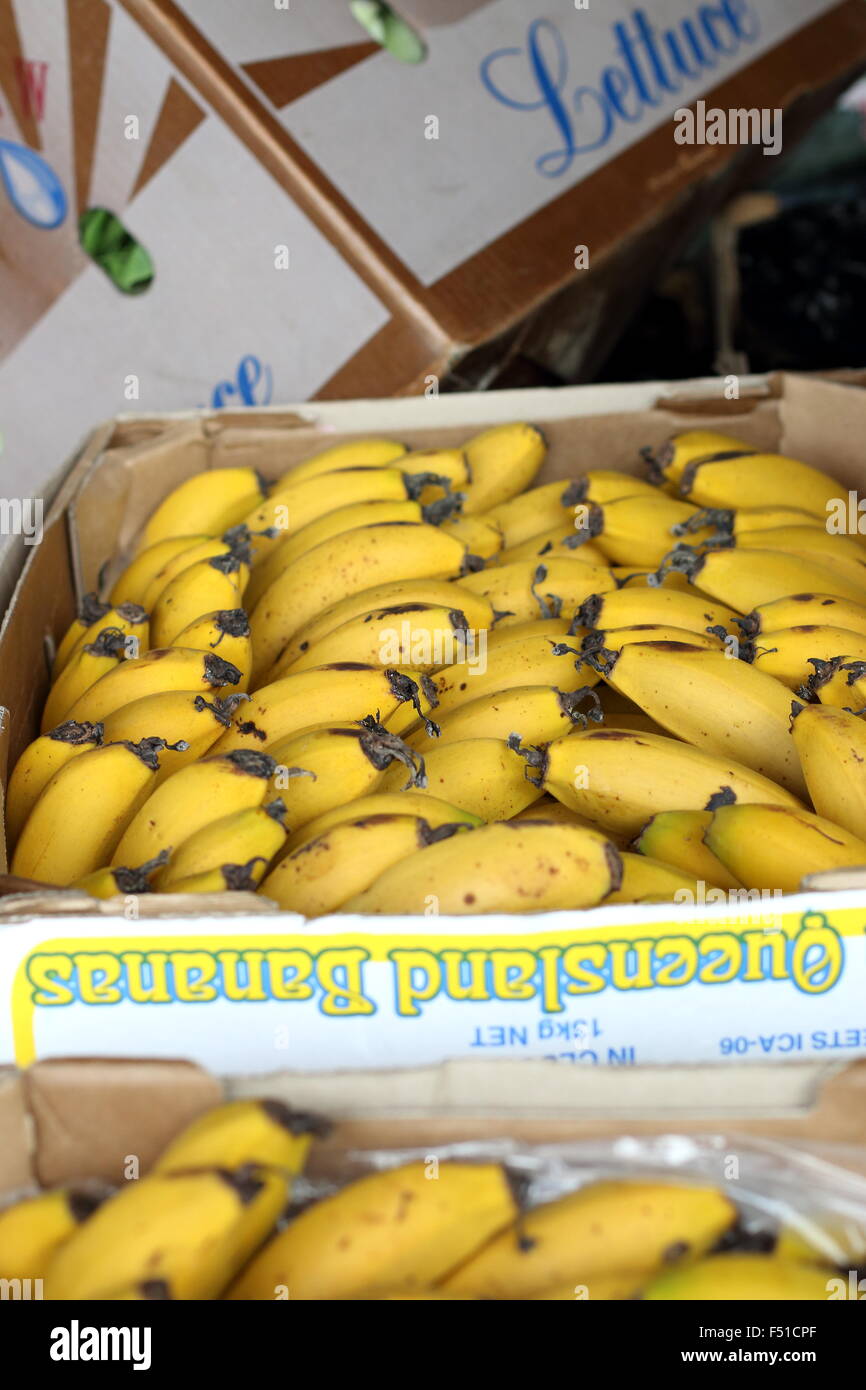 Bananas in a box for sale Stock Photo Alamy