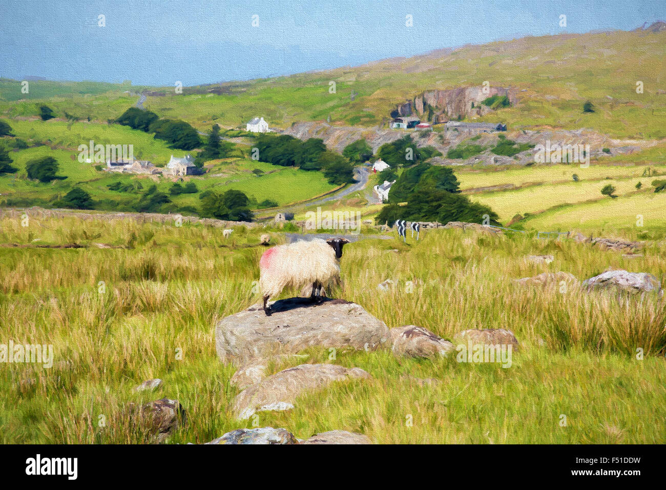 Winter Sheep Painting High Resolution Stock Photography And Images Alamy