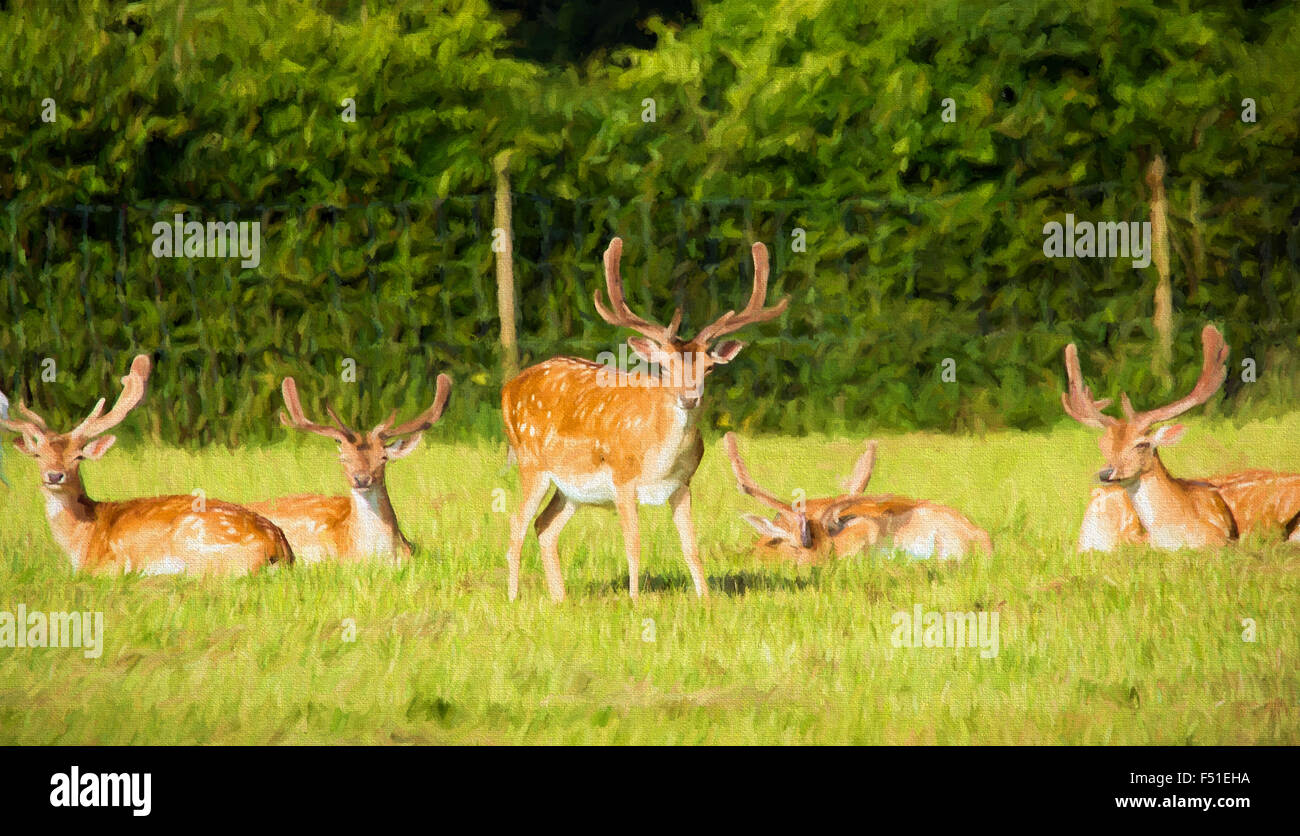 Wild red deer with antlers in a field new Forest Hampshire illustration like oil painting Stock Photo