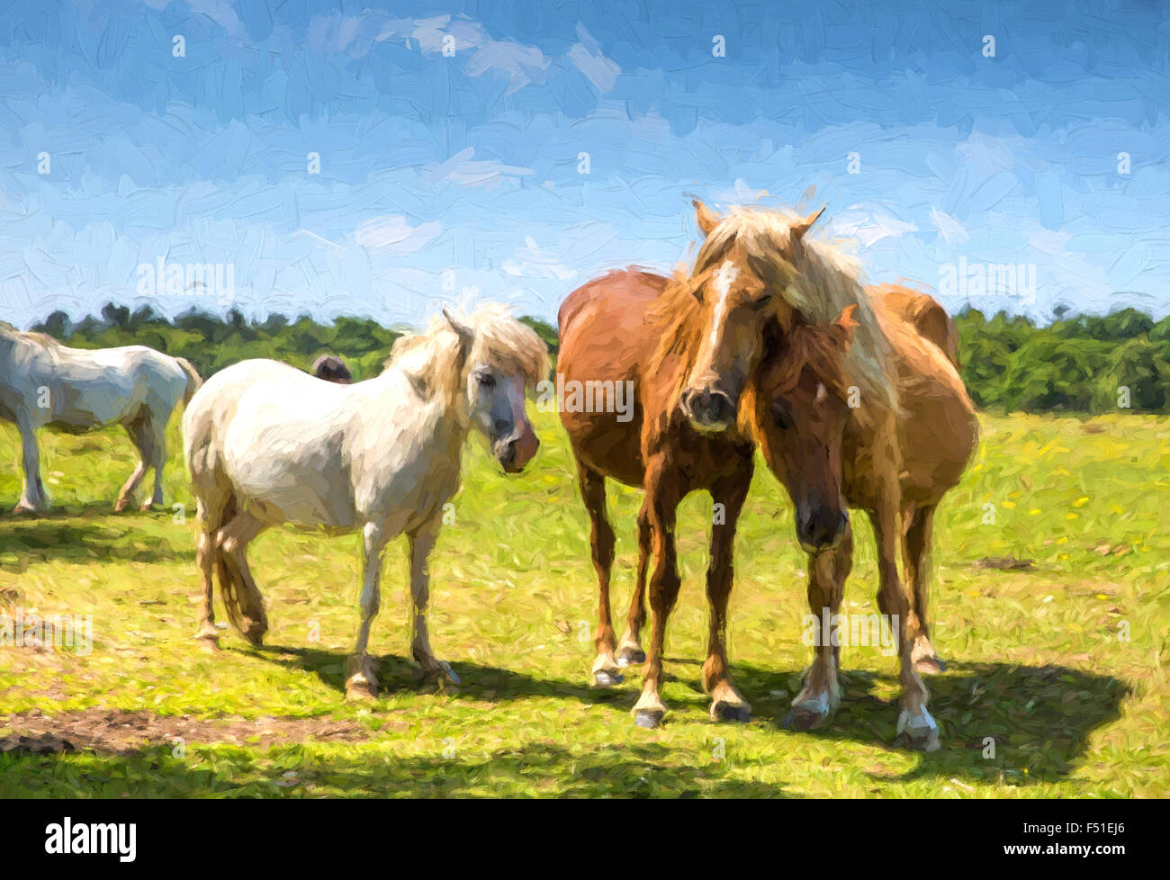 Mother and baby pony cuddling with a little white pony looking on oil painting new Forest Hampshire England Stock Photo