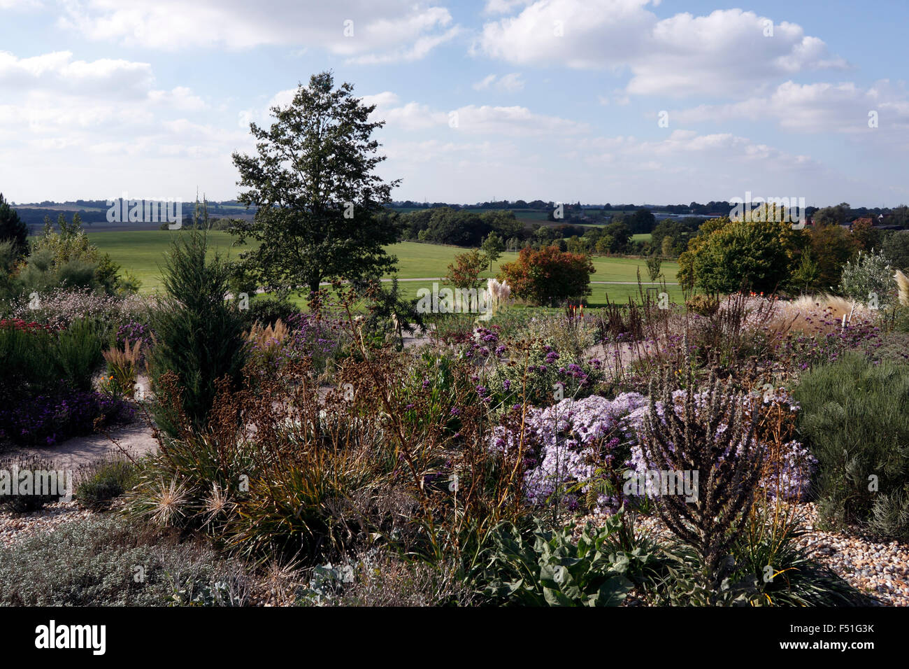 RHS HYDE HALL ESSEX. THE DRY GARDEN IN AUTUMN. UK. Stock Photo