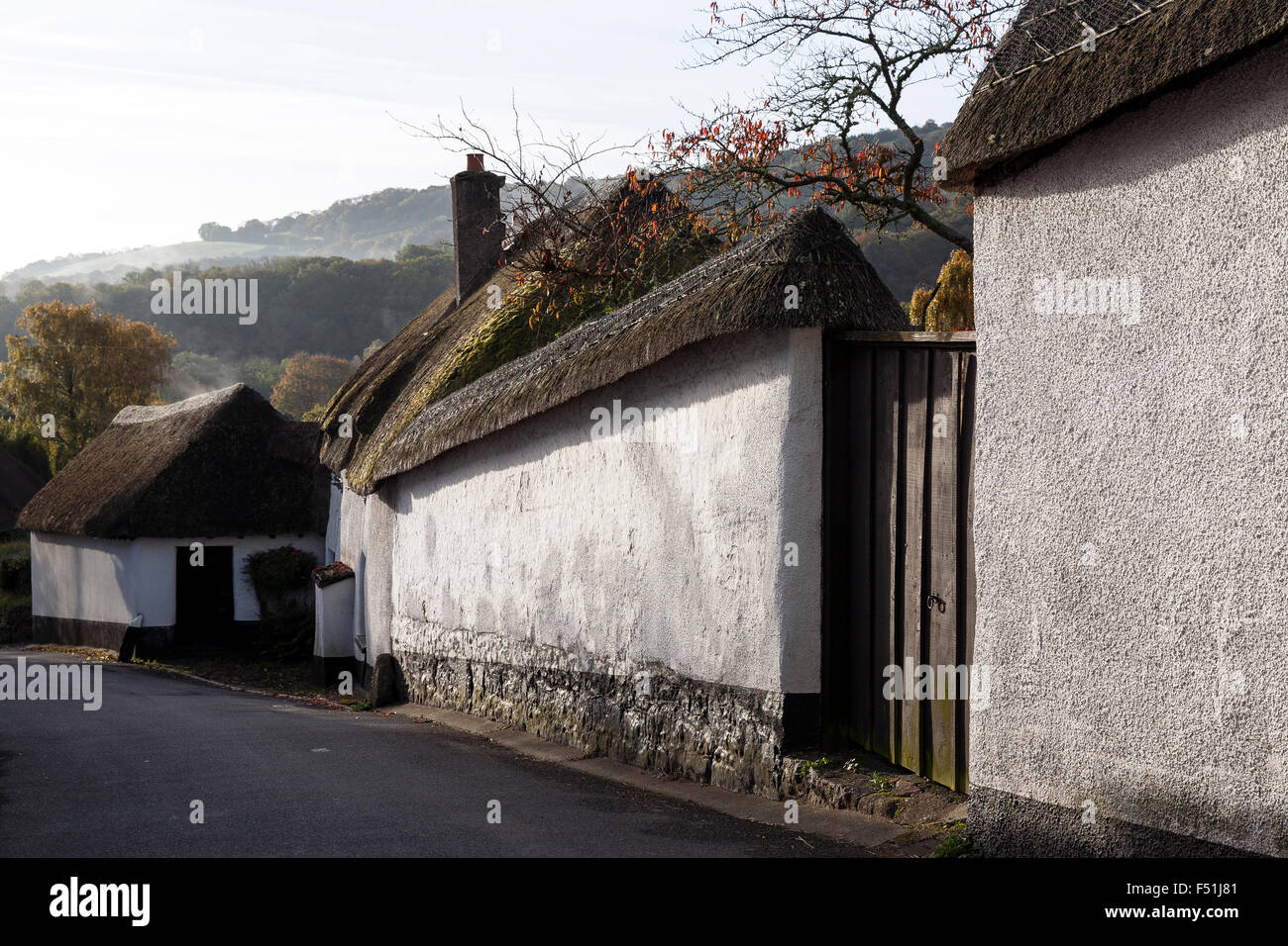 Britten street Dunsford in morning mist,cob and thatch,Teign Valley,cob