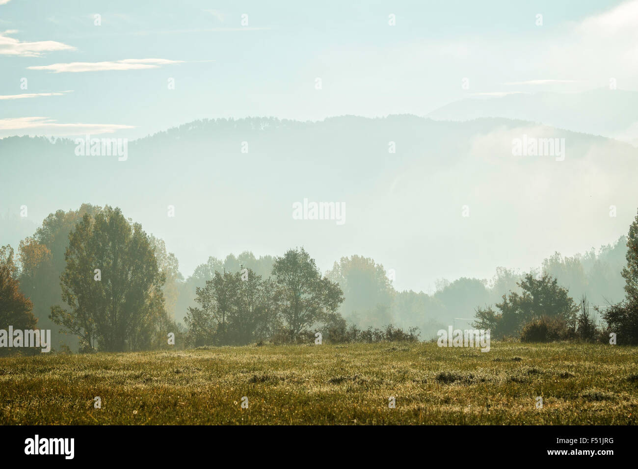 Colorful and foggy autumn forest in the mountain Stock Photo - Alamy