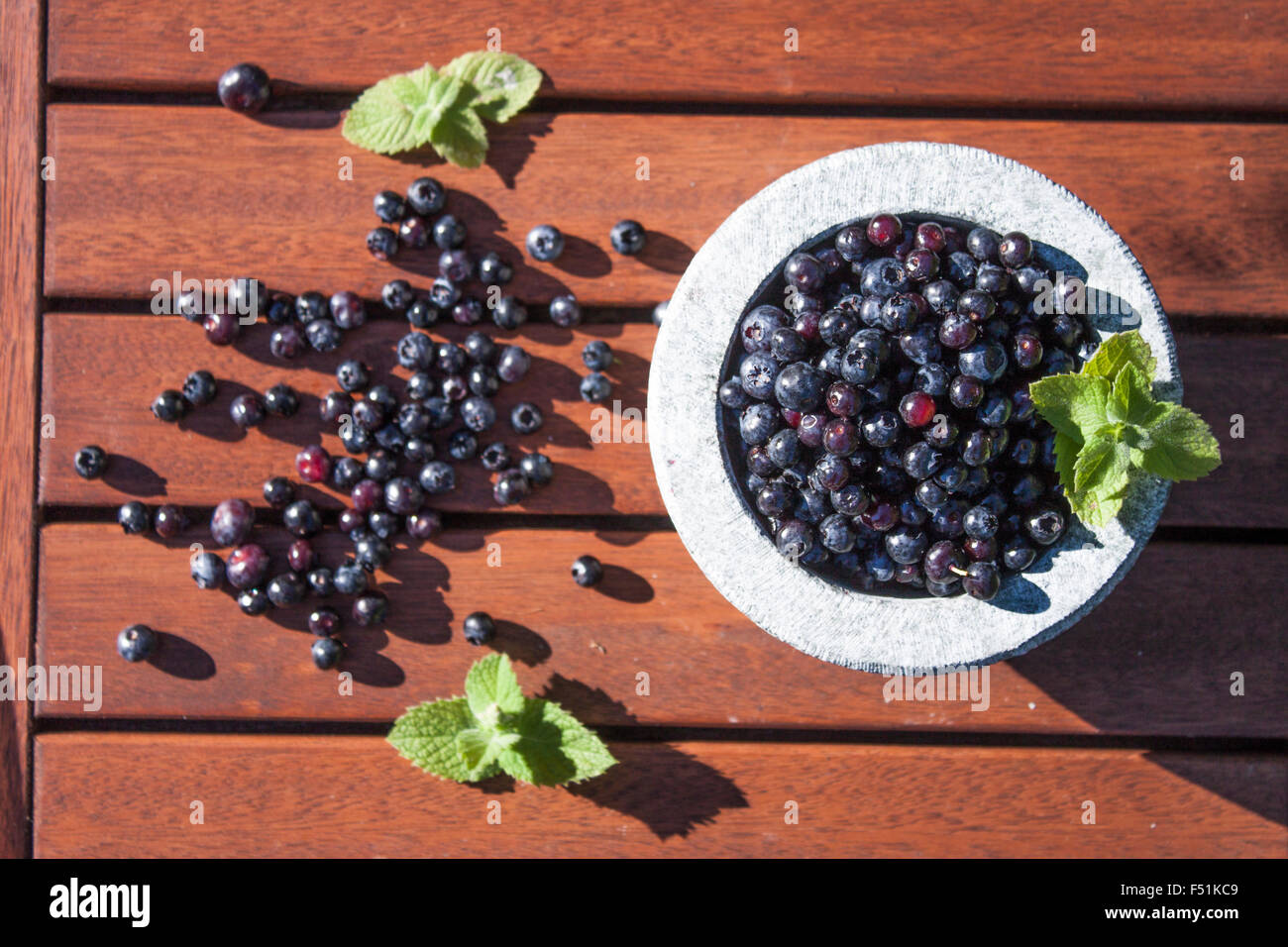 Blueberries, vaccinium corymbosum in a grey stone bowl Stock Photo