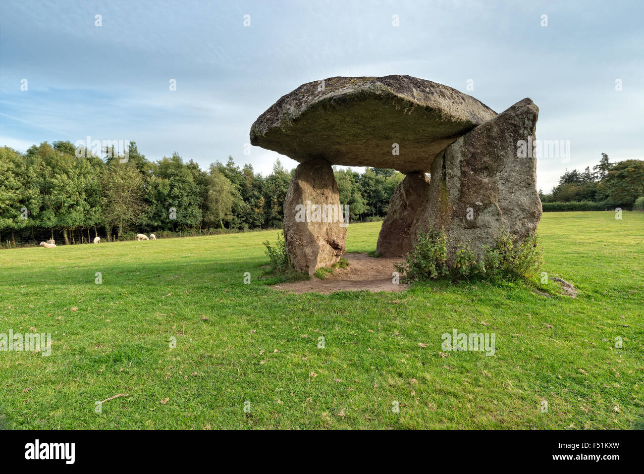 Spinster's Rock a Neolithic Dolmen in a field near Drewsteignton in Devon Stock Photo