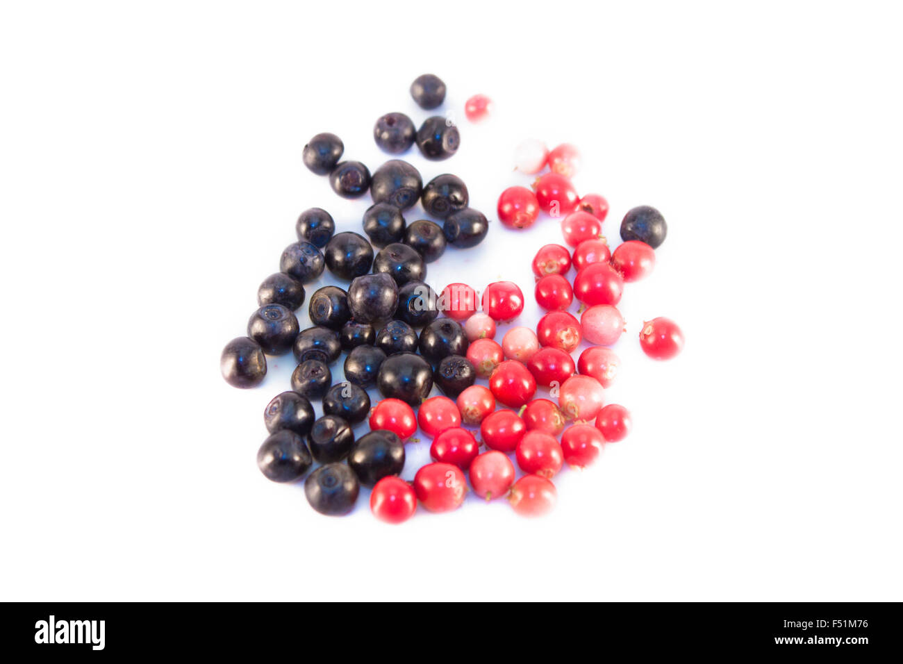 Bilberries, vaccinium myrtillus and cowberries, vaccinium vitis-idaea, isolated on white background Stock Photo